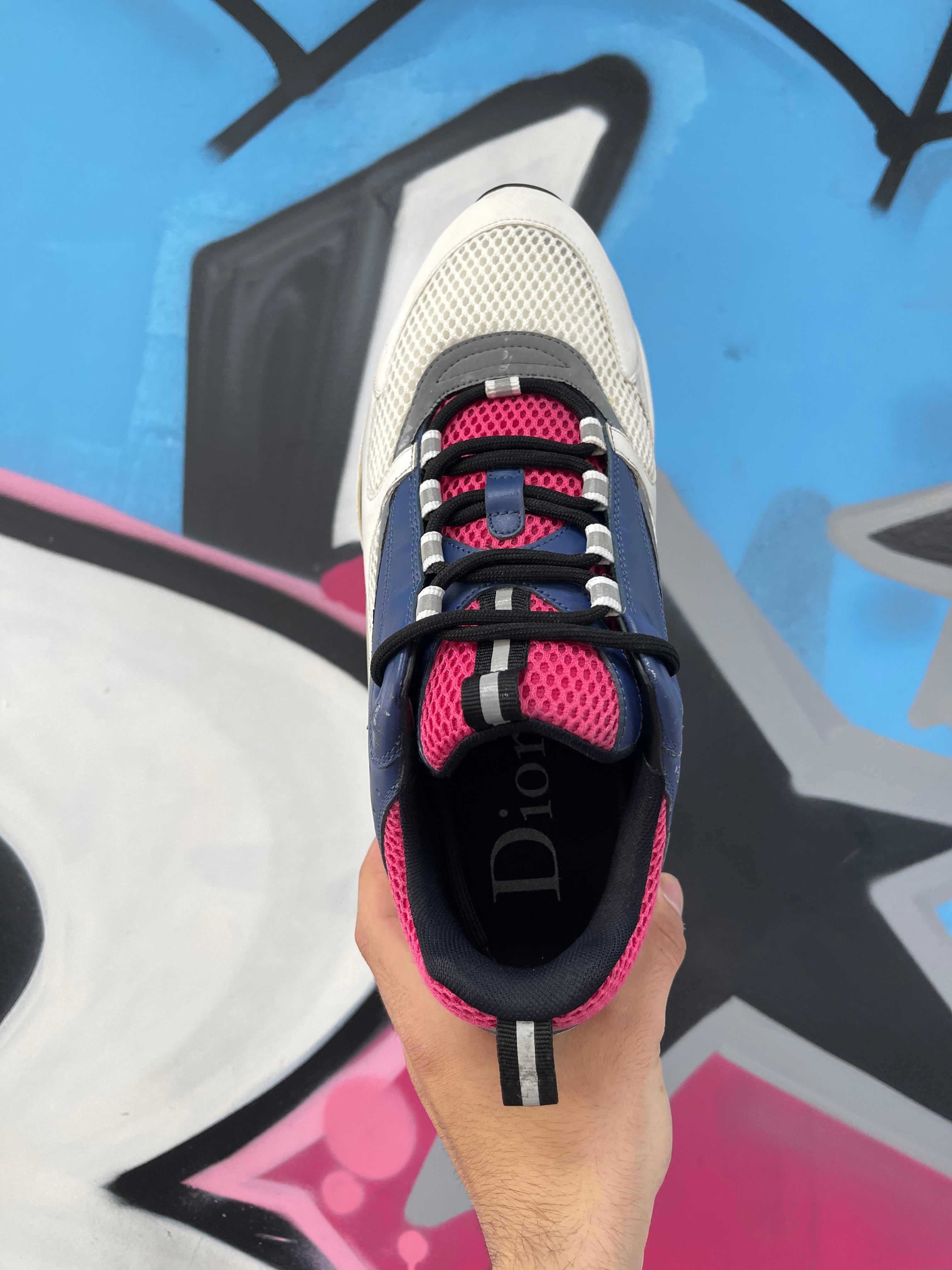 Dior Navy Pink B22 Homme Sneakers