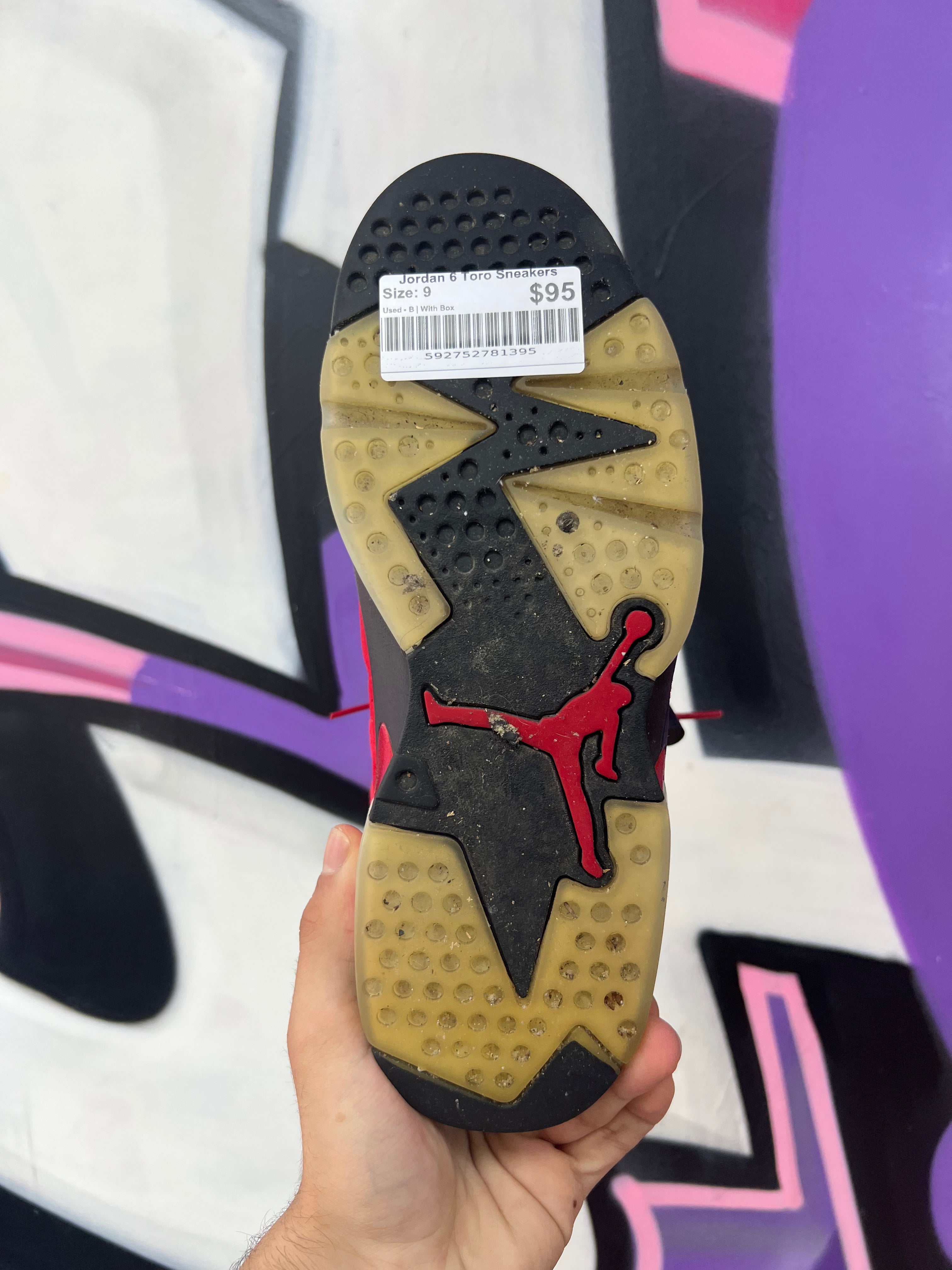 Jordan 6 Toro Sneakers