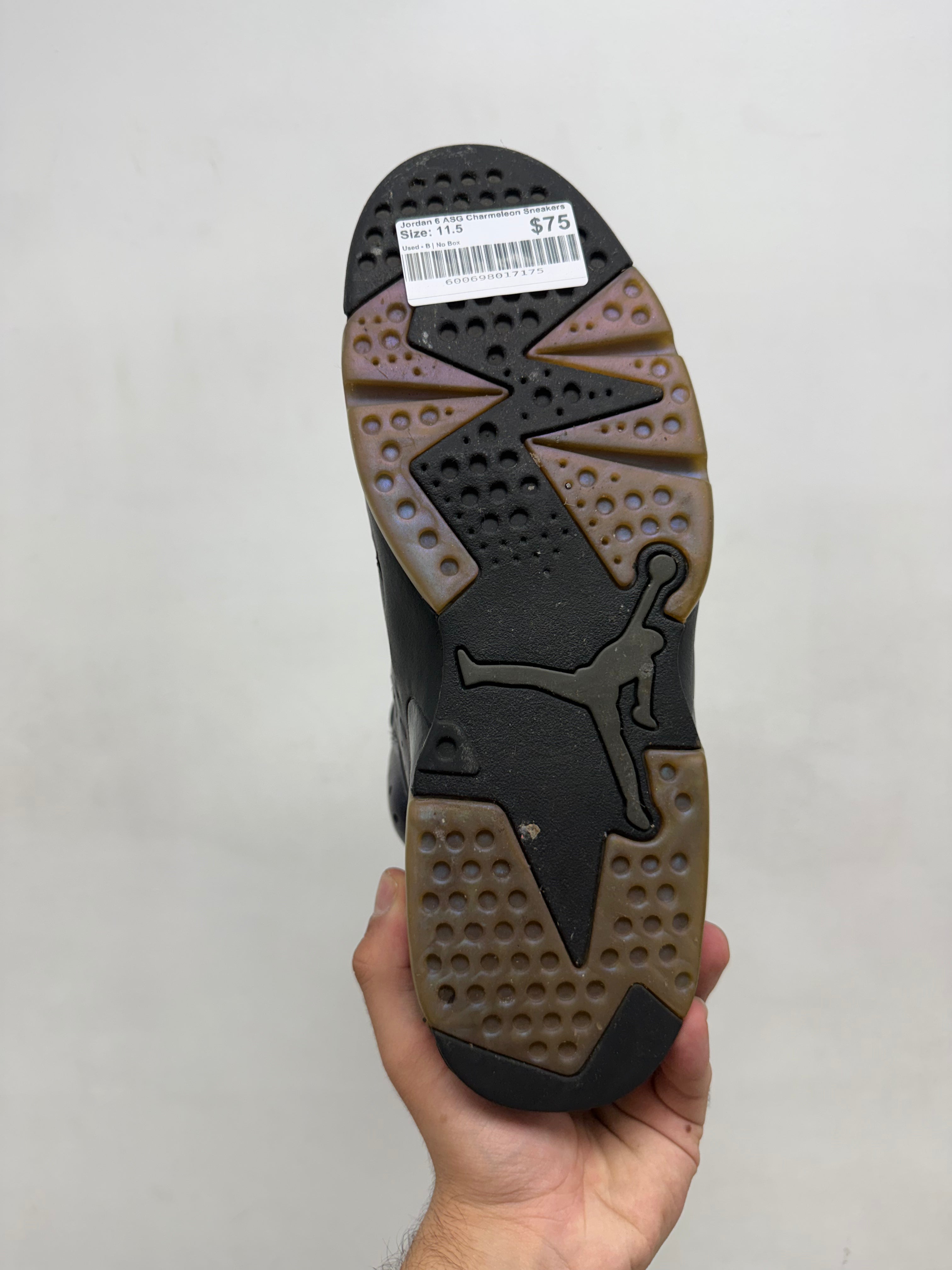 Jordan 6 ASG Charmeleon Sneakers