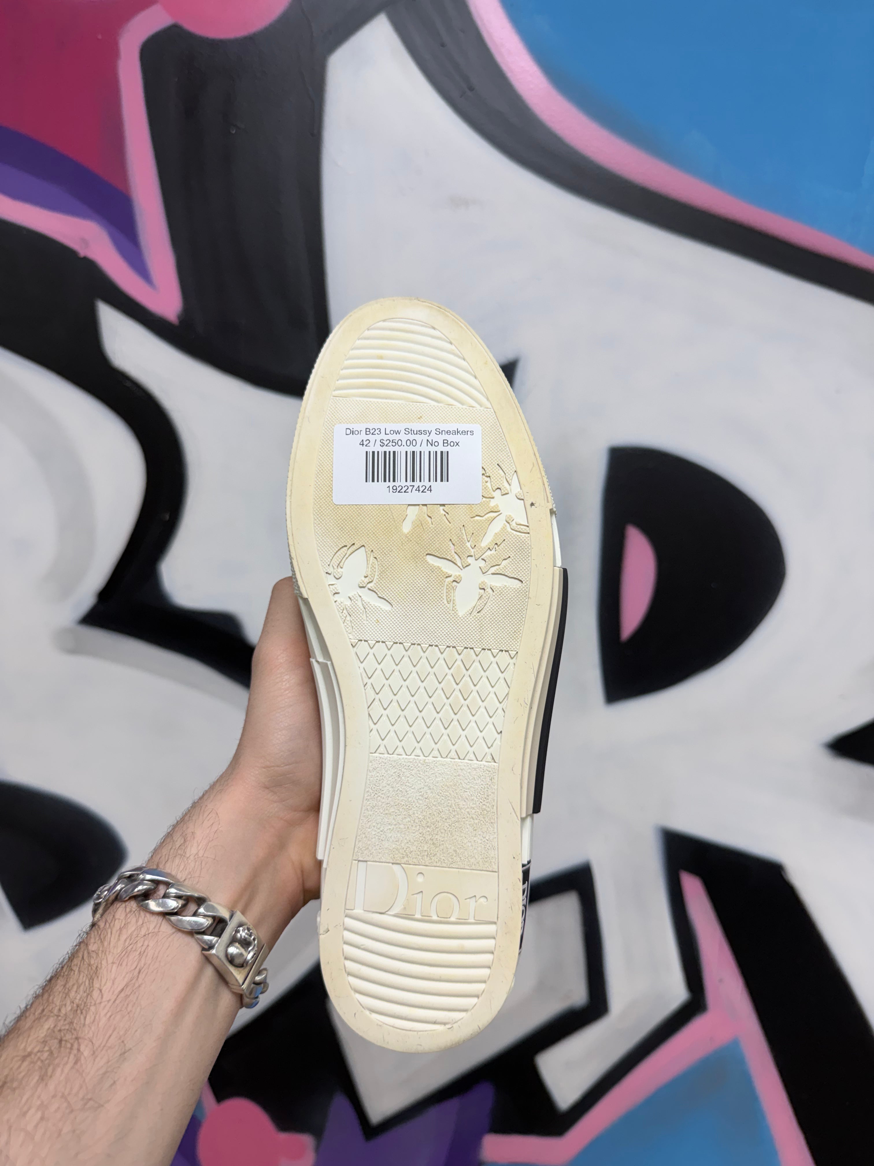 Dior B23 Low Stussy Sneakers