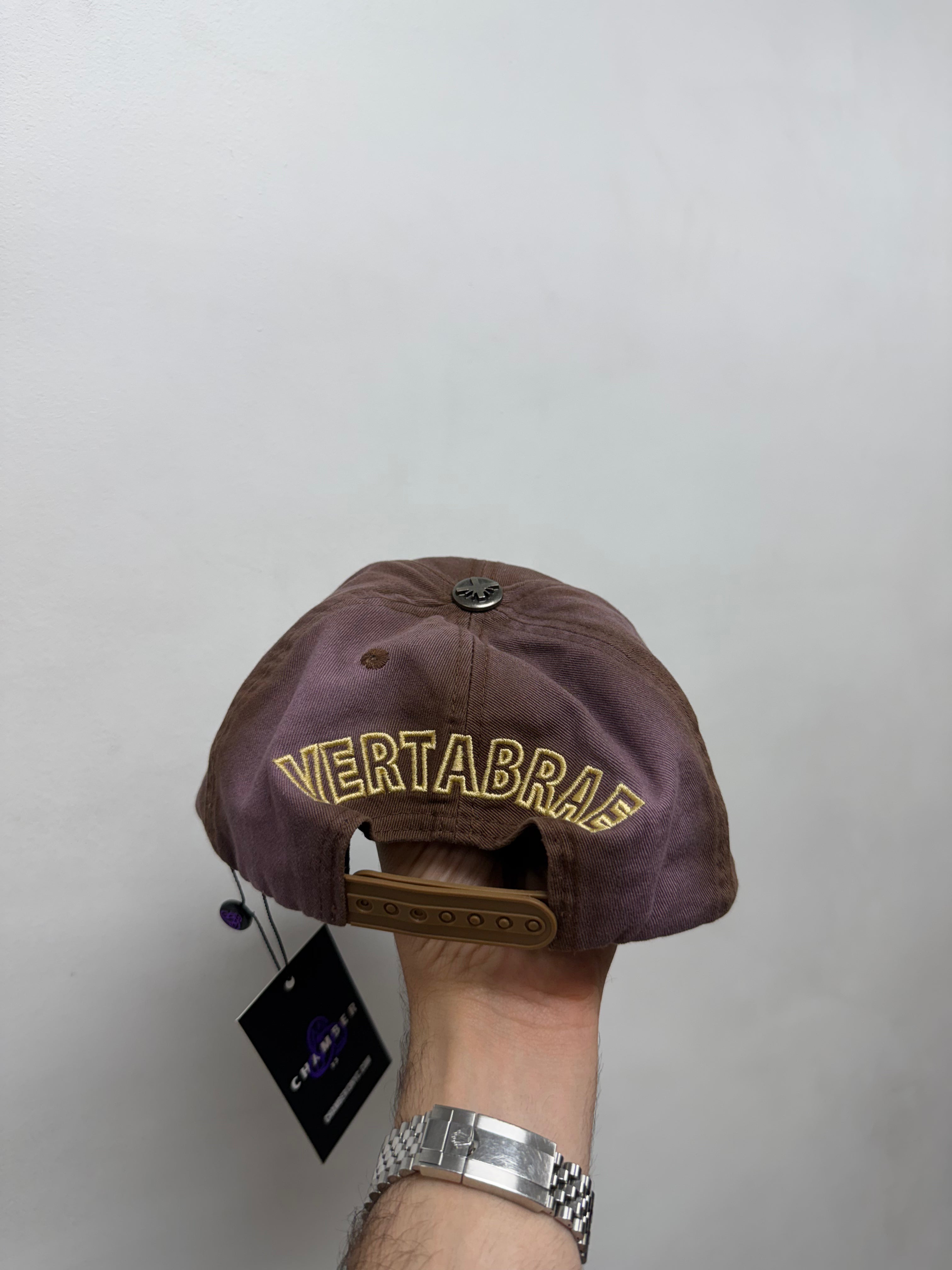 Vertabrae Brown Cream Logo Snapback Hat