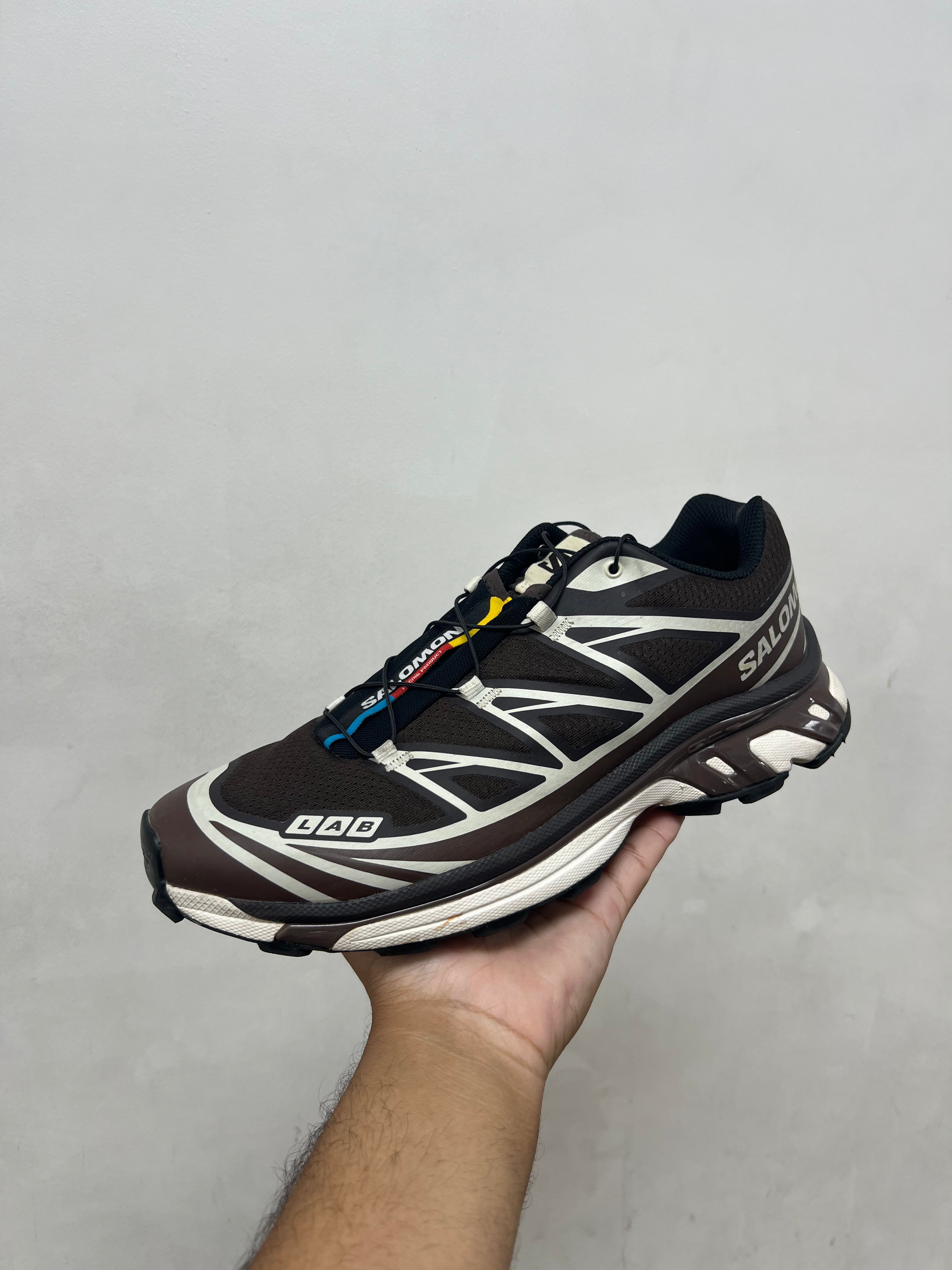 Salomon Earth Brown XT-6 Sneakers