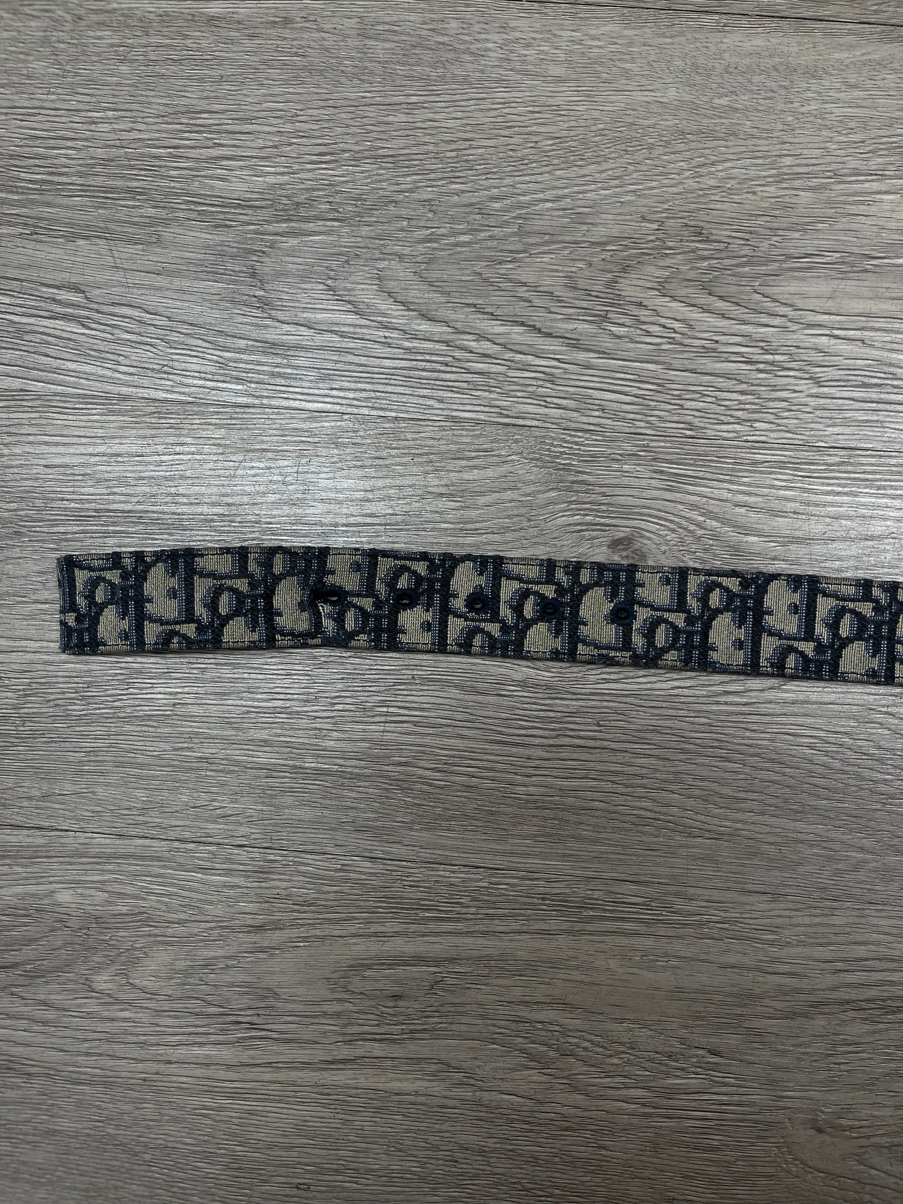 Dior Oblique Monogram Gold Buckle Belt