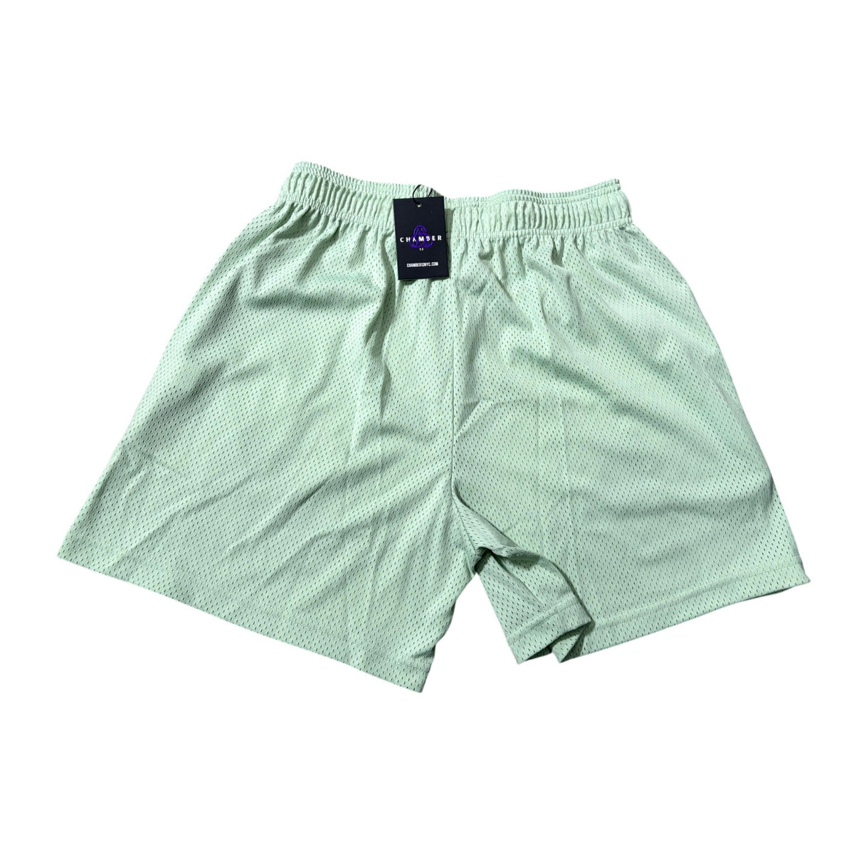 Eric Emanuel Bolt Mint & Purple Shorts
