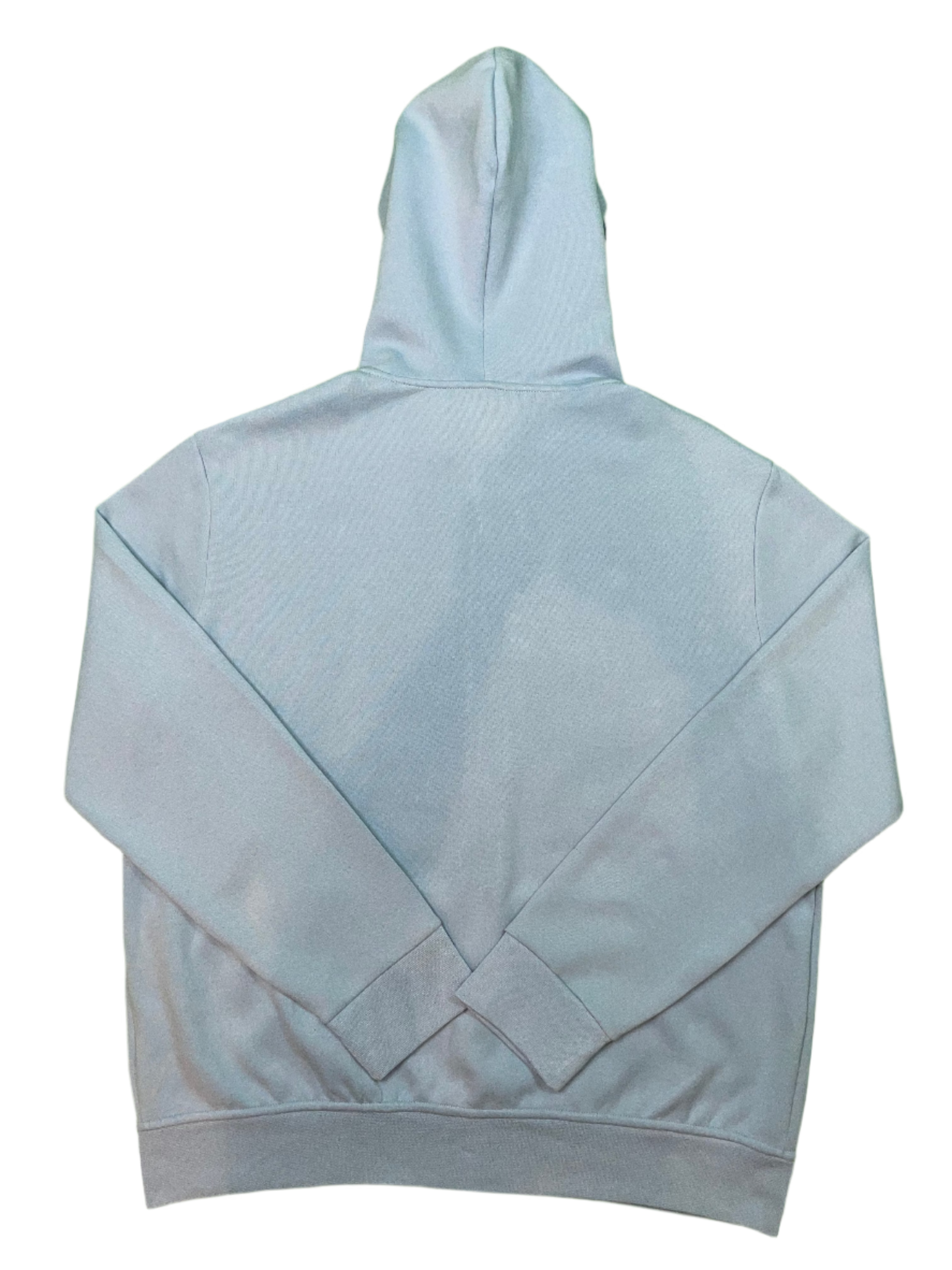 Polo Baby Blue Zip Up Hoodie