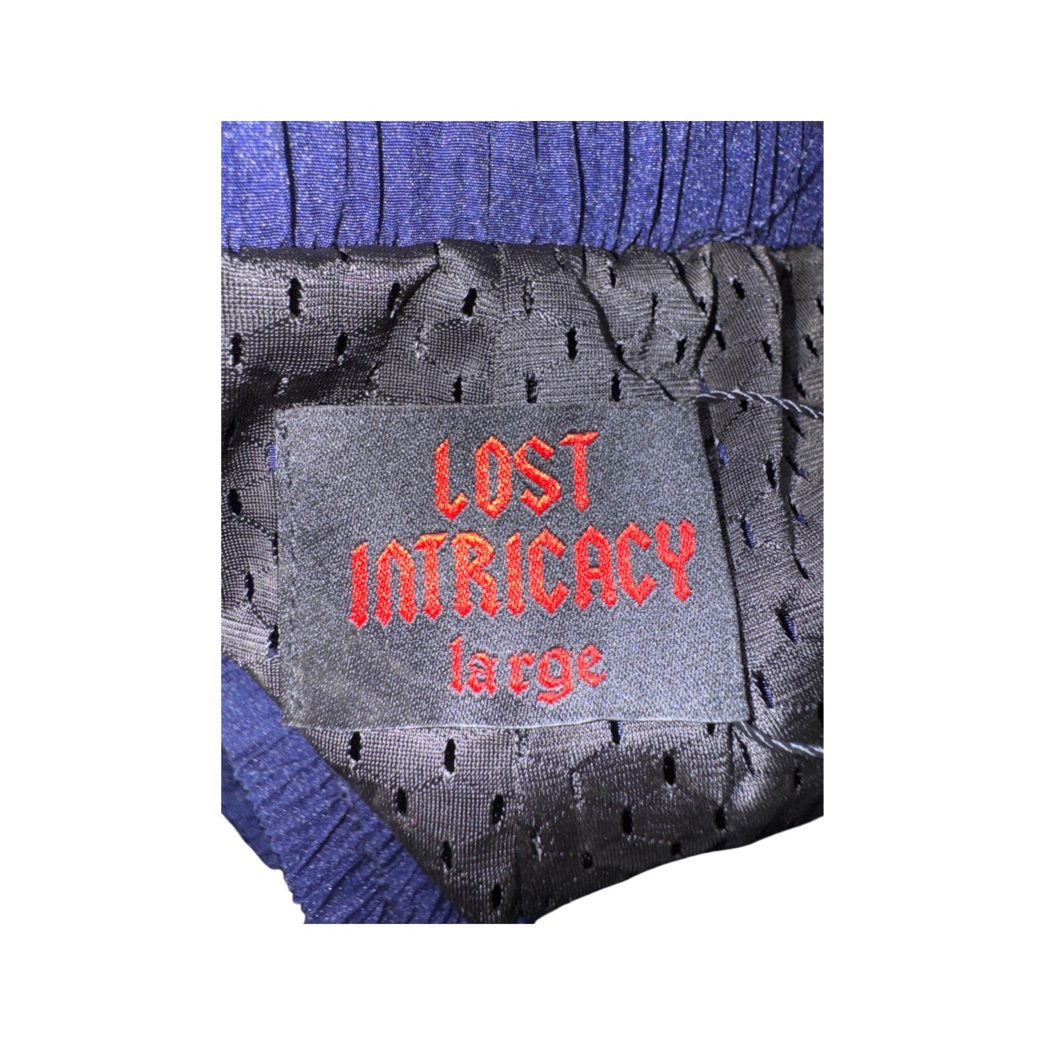 Lost Intricacy Navy Baby Blue Track Shorts