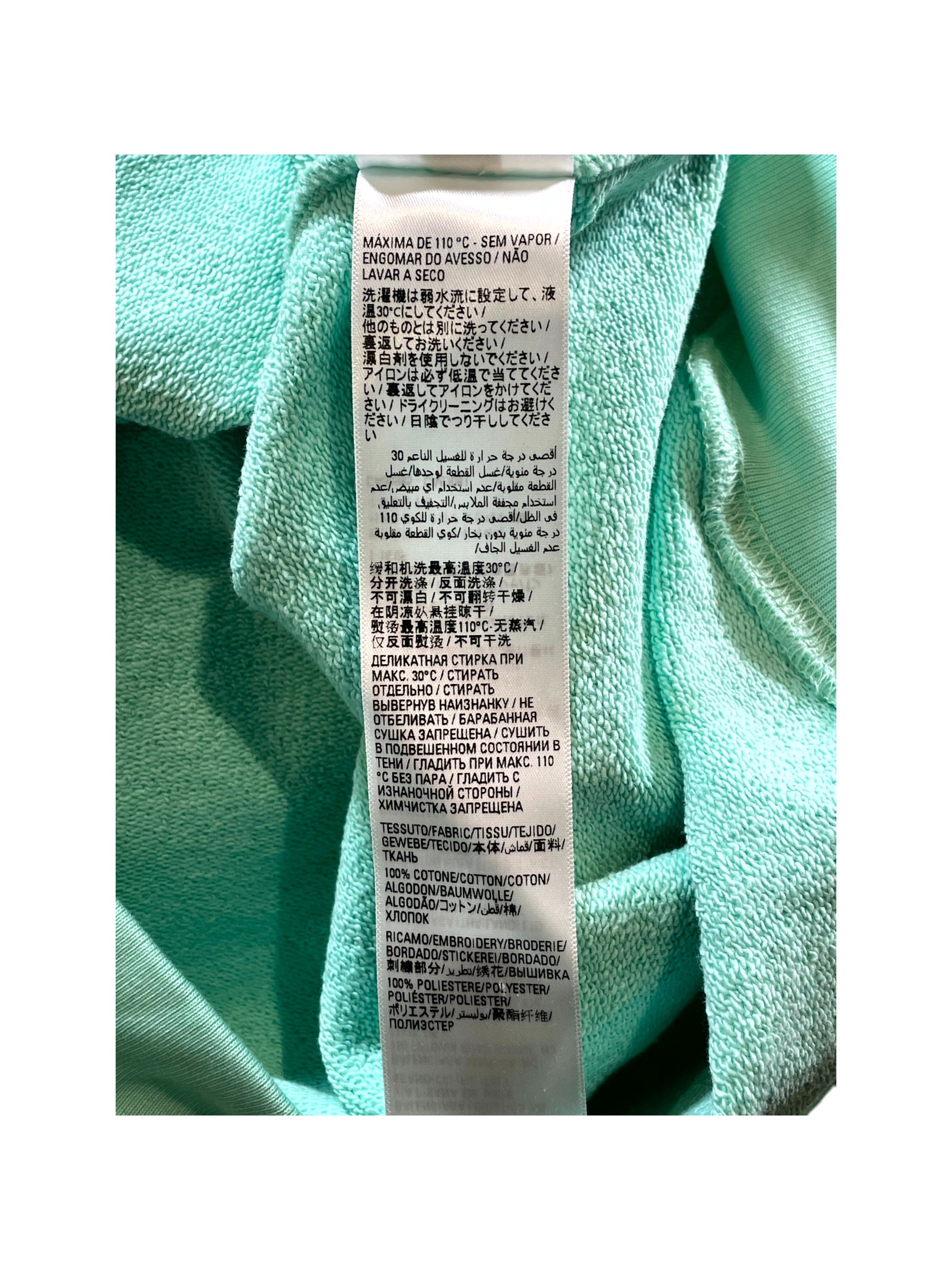 Balenciaga 'Campaign Logo' Mint Hoodie