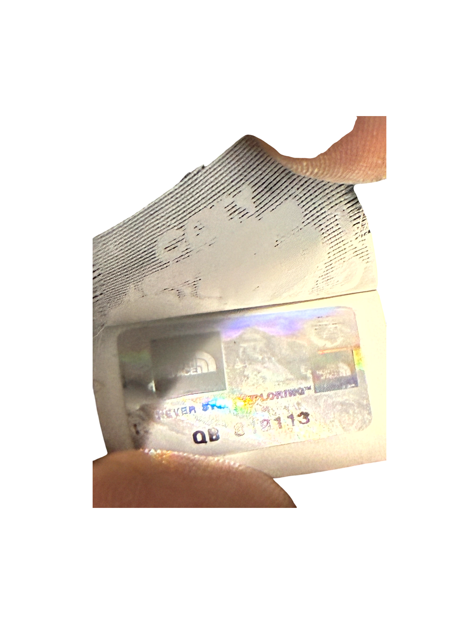 The North Face 700 Down Parka (With Fur) Black Puffer Jacket