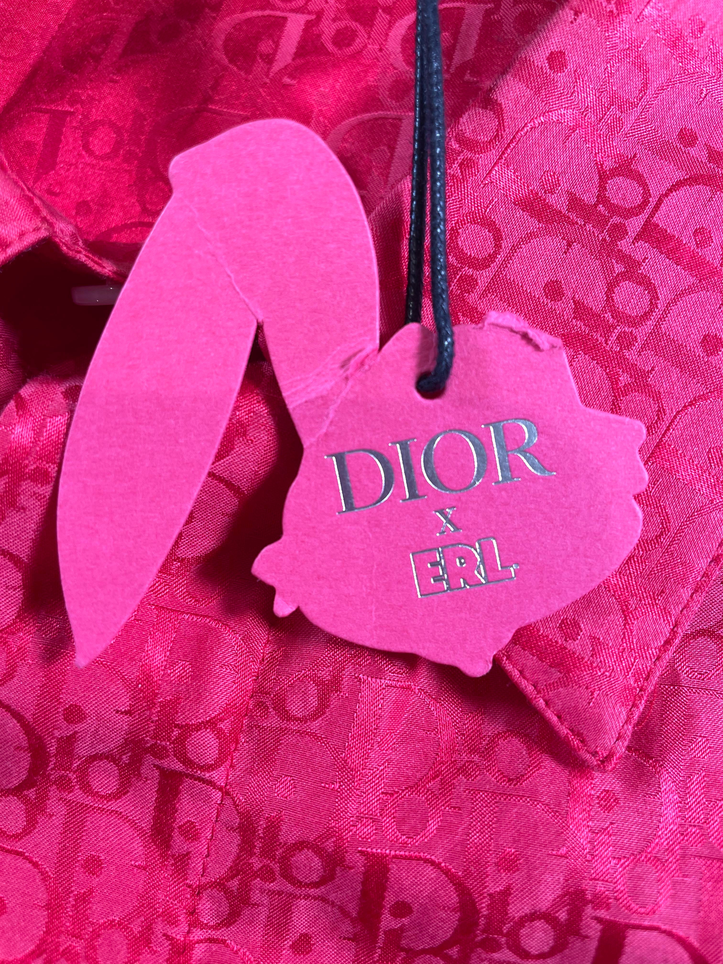 Dior ERL Oblique Bunny (45) Red Button Up