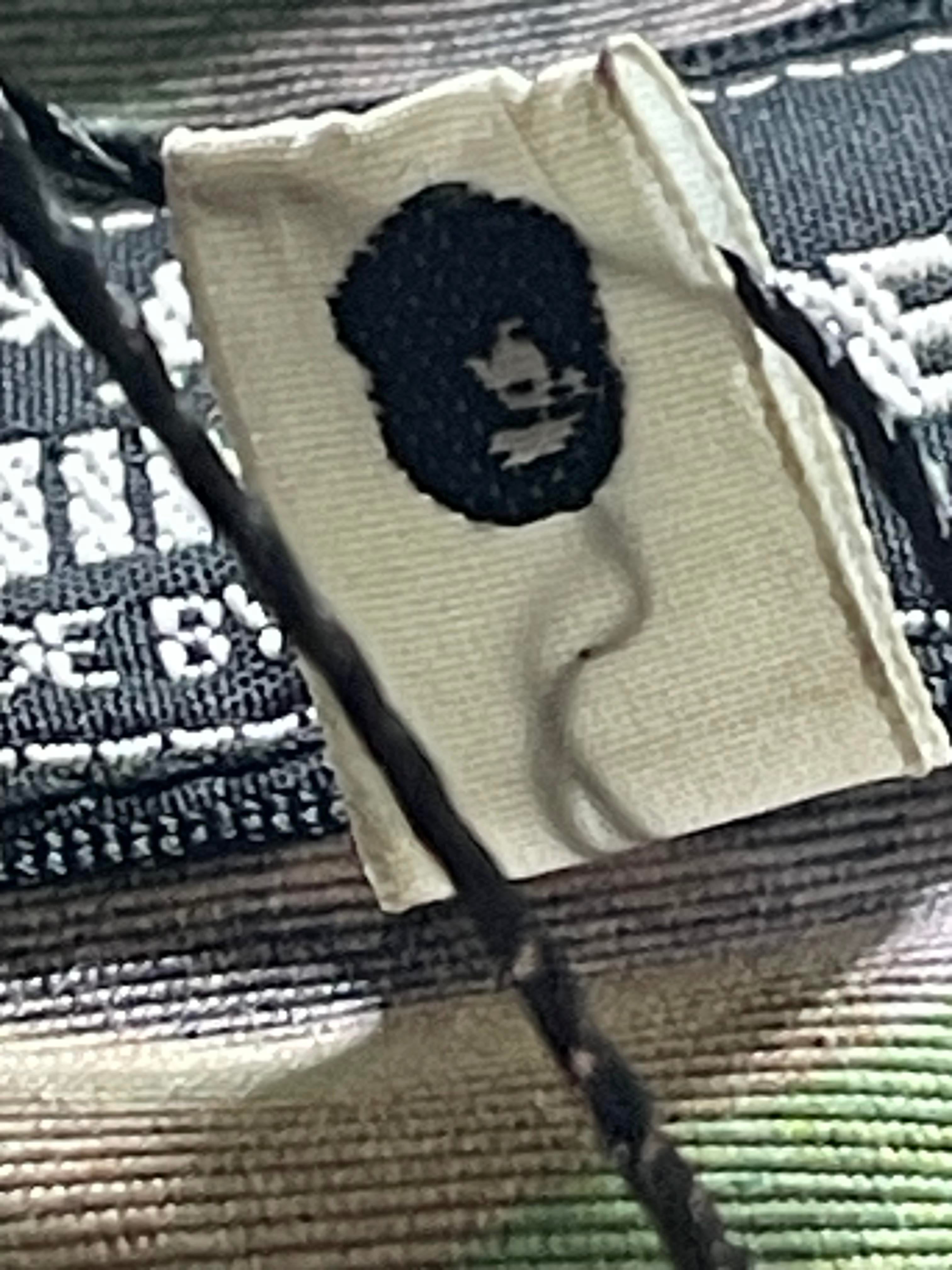 BAPE Tree Camo Wind Breaker