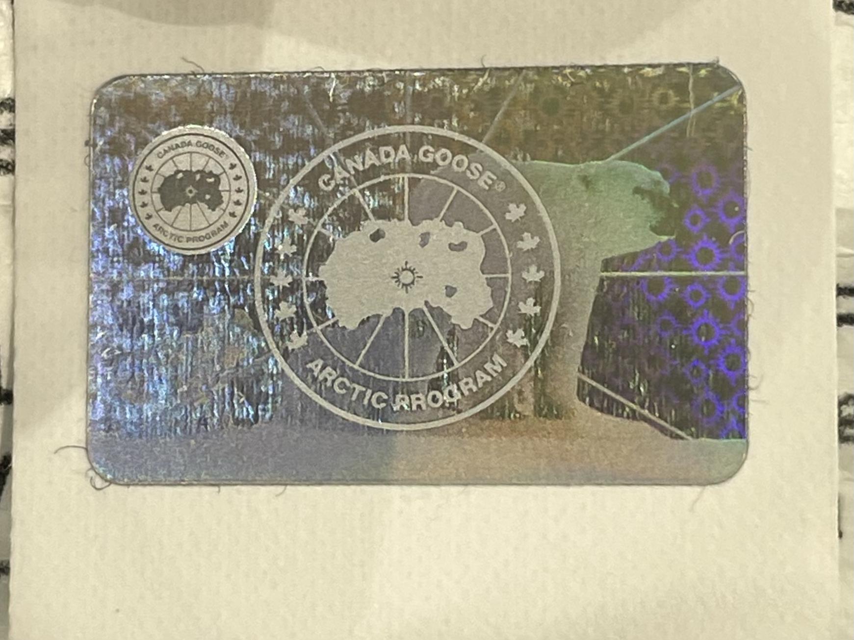 Canada Goose Bandana Puffer Baby Blue Vest