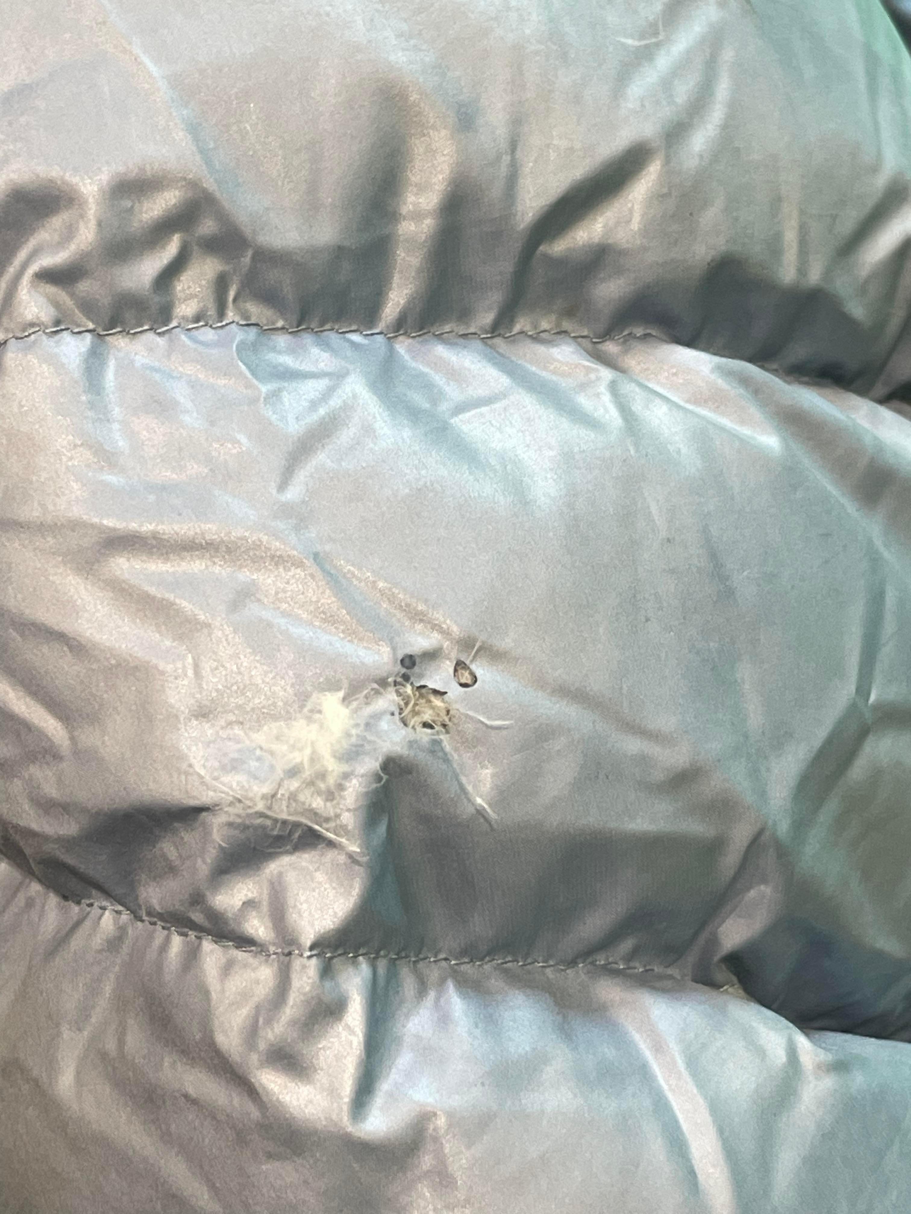 Moncler Blue & Black Puffer Coat Kids