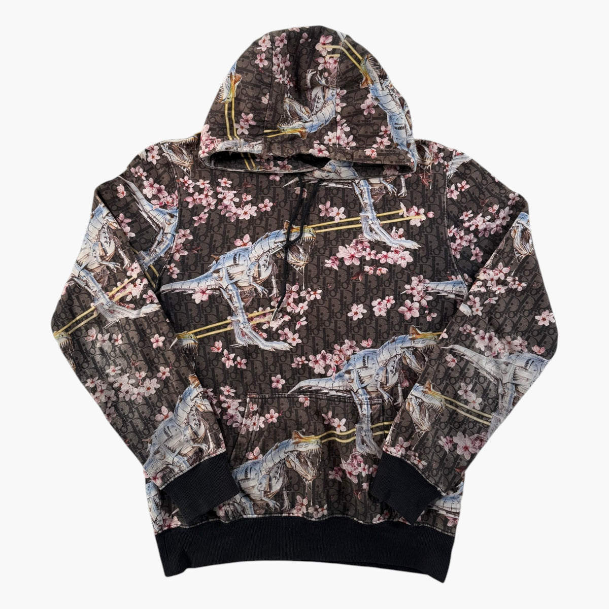 Dior Oblique Soyarama Brown Hoodie