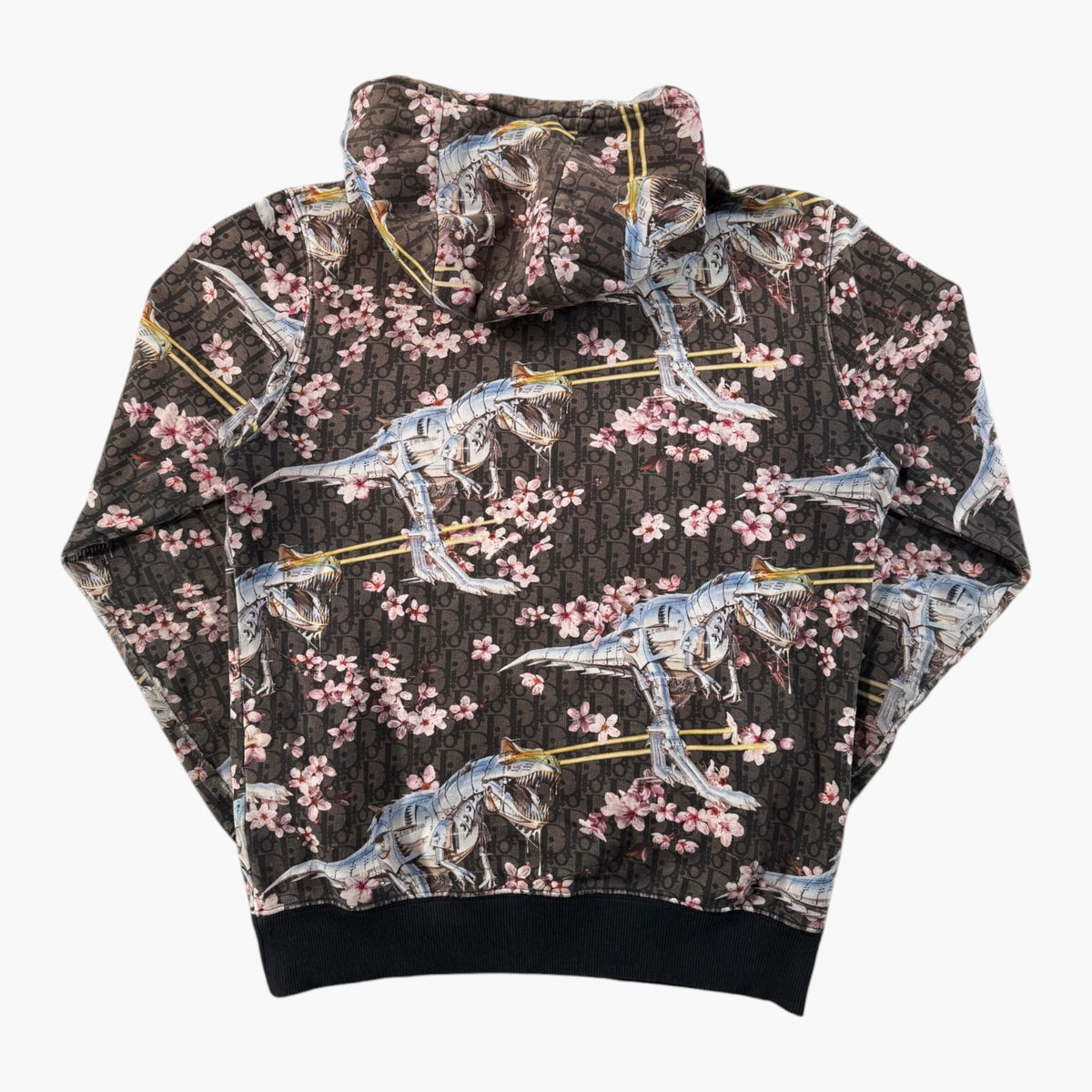 Dior Oblique Soyarama Brown Hoodie