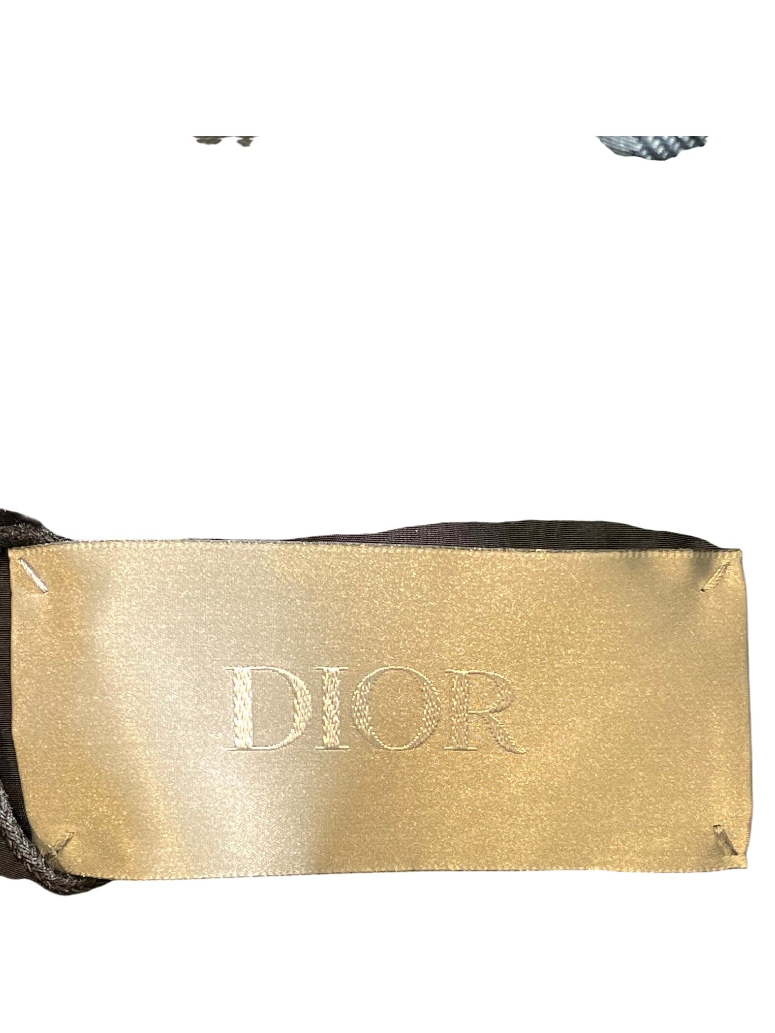 Dior Oblique Powder Blue Puffer Jacket
