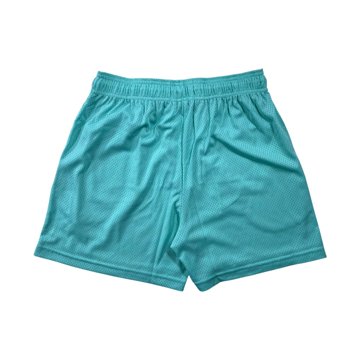 Eric Emanuel Bolt Teal Shorts