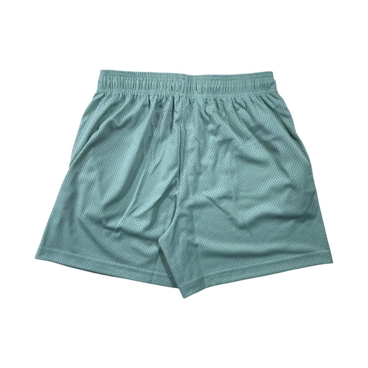 Eric Emanuel Mint & Brown Shorts