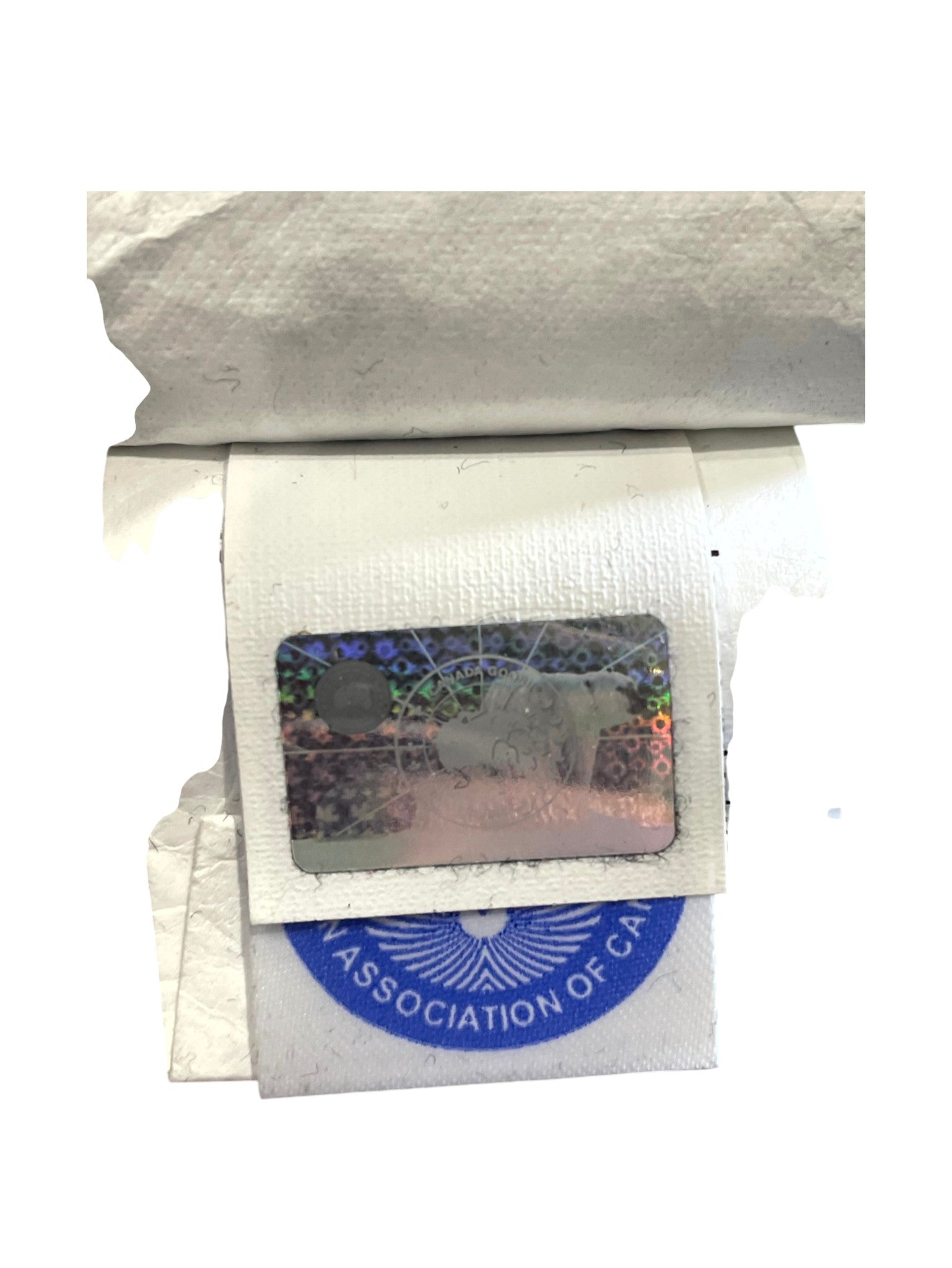 Canada Goose Duncan Red & Black Puffer Vest