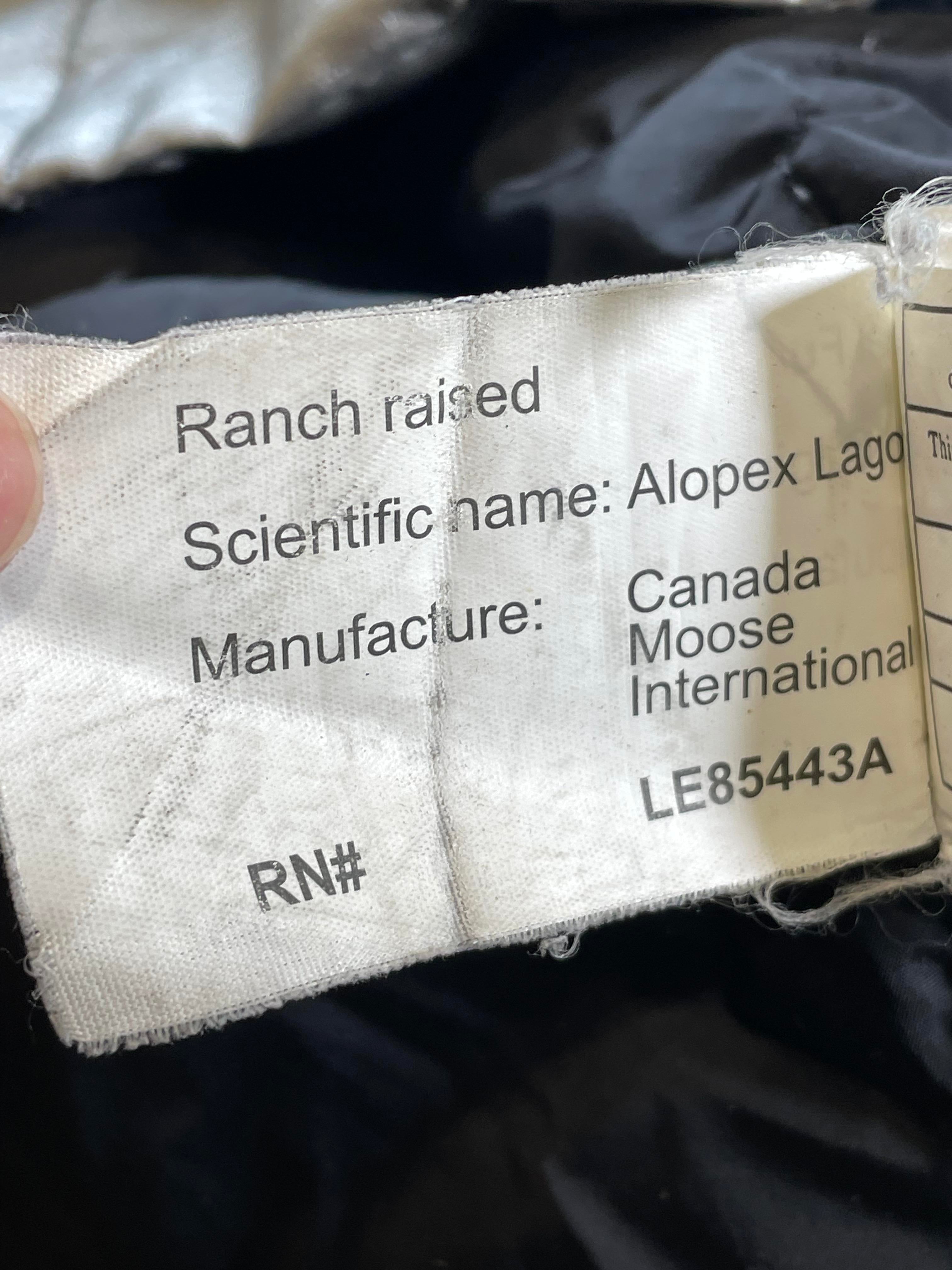 Moose Knuckles Silver Parka Jacket