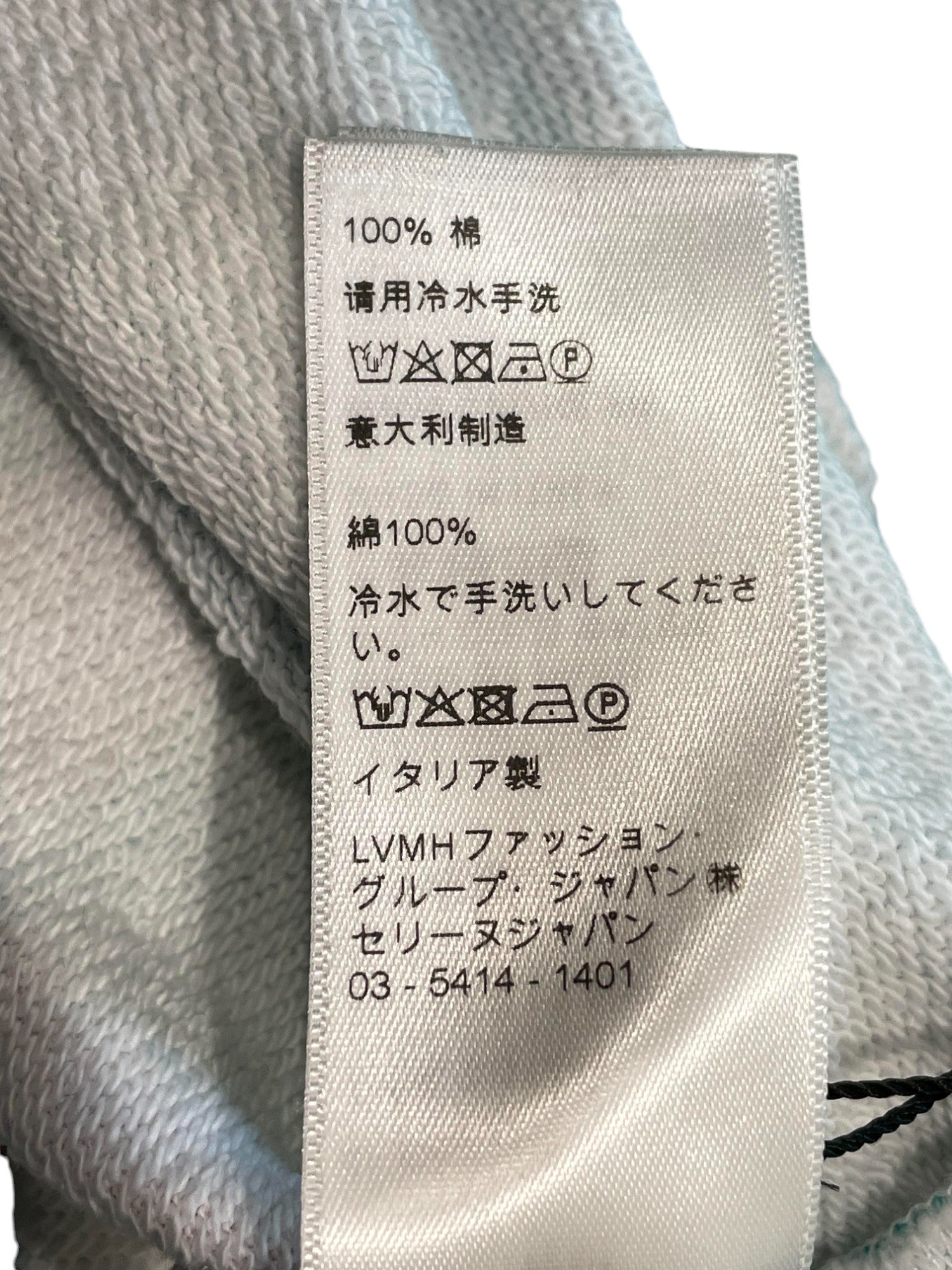 Celine Tropical Hoodie Blue