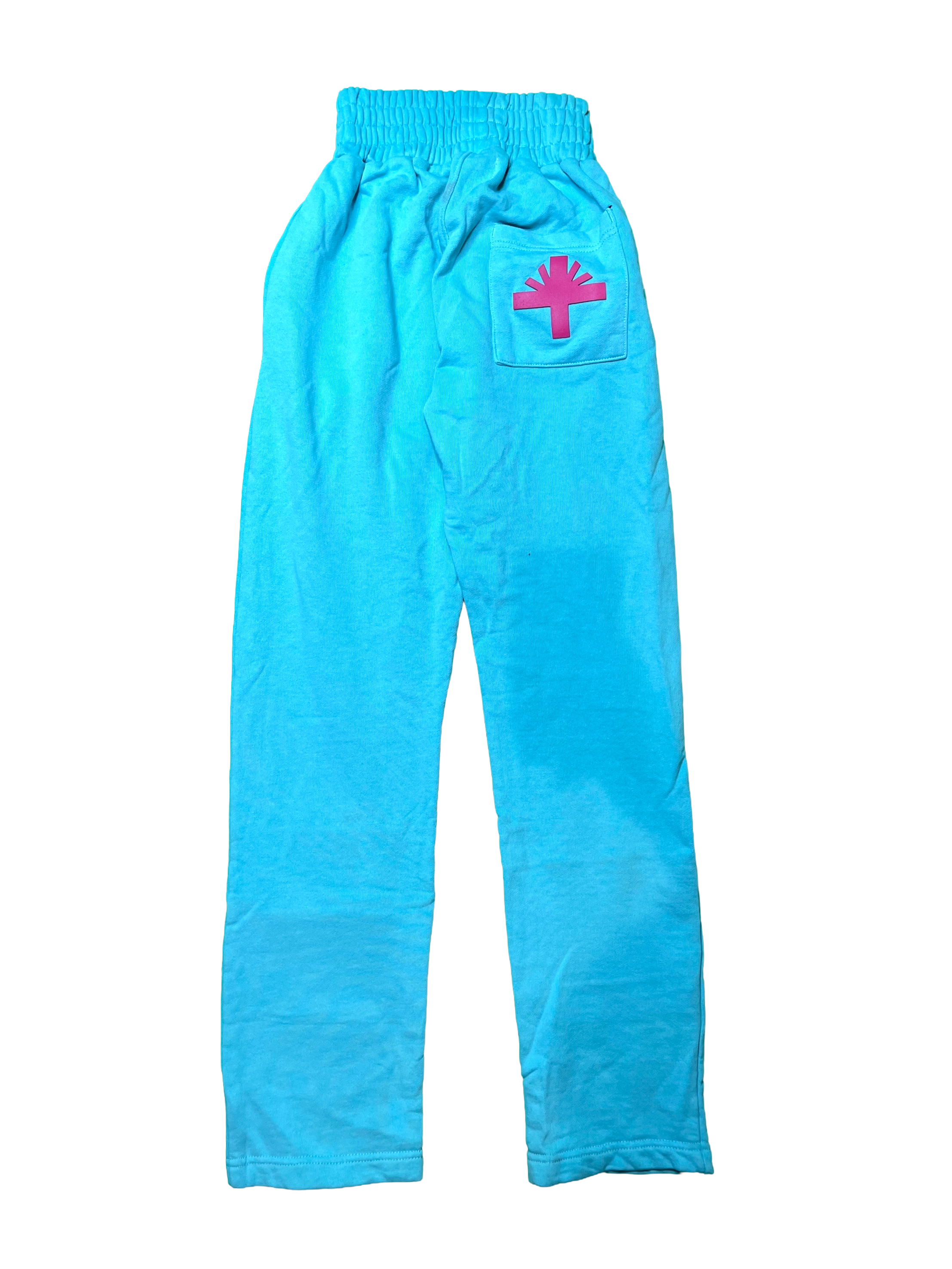 Vertabrae Baby Blue Pin Sweat Pants