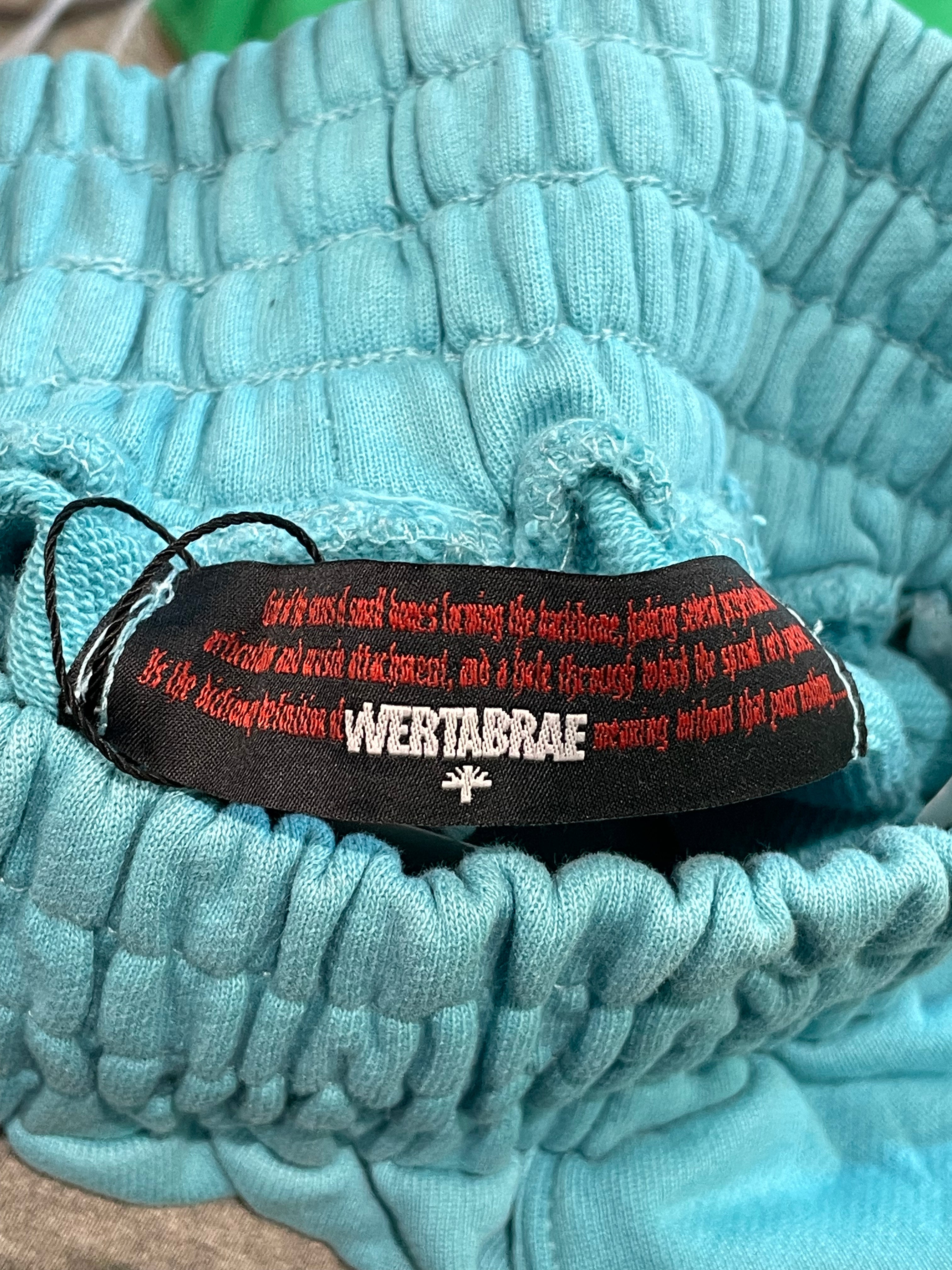 Vertabrae Baby Blue Pin Sweat Pants