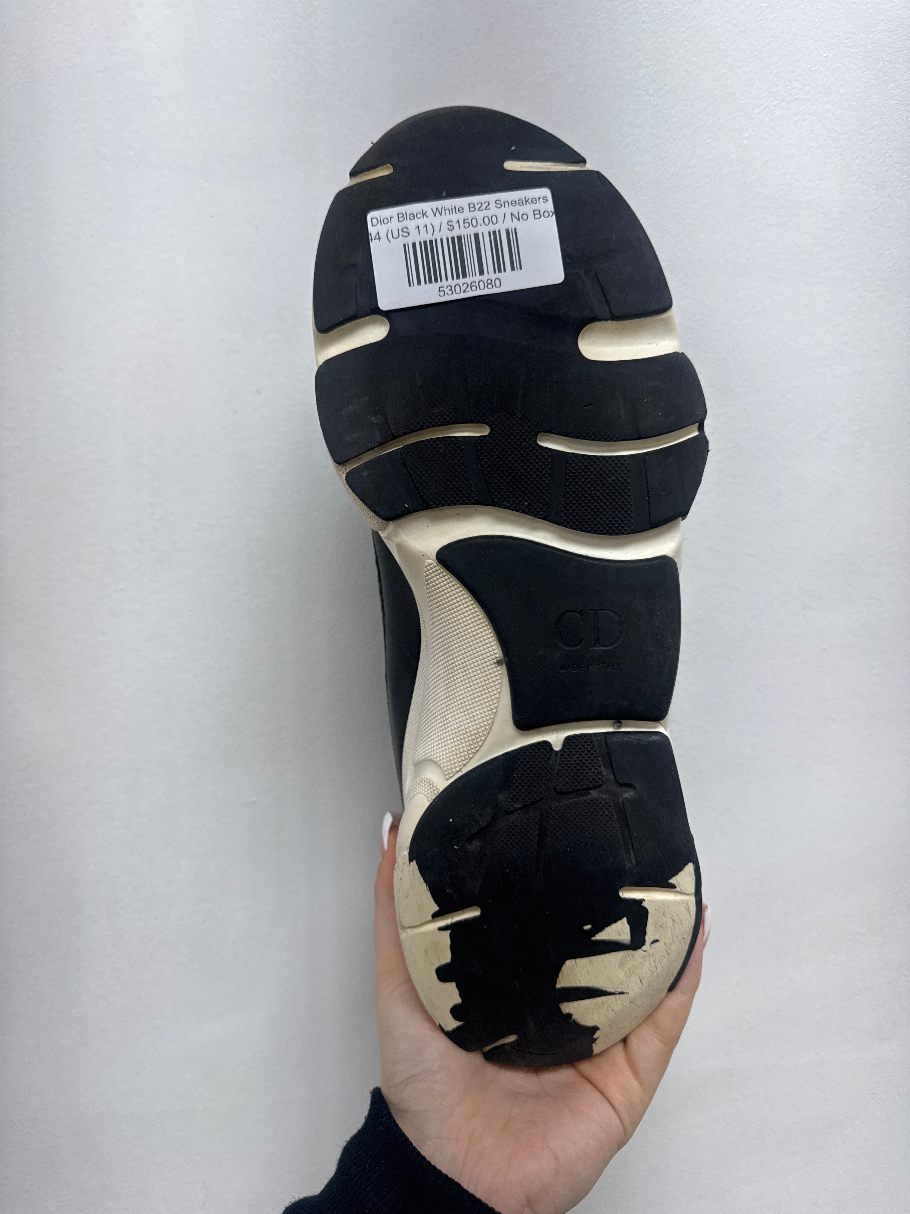 Dior Black White B22 Sneakers