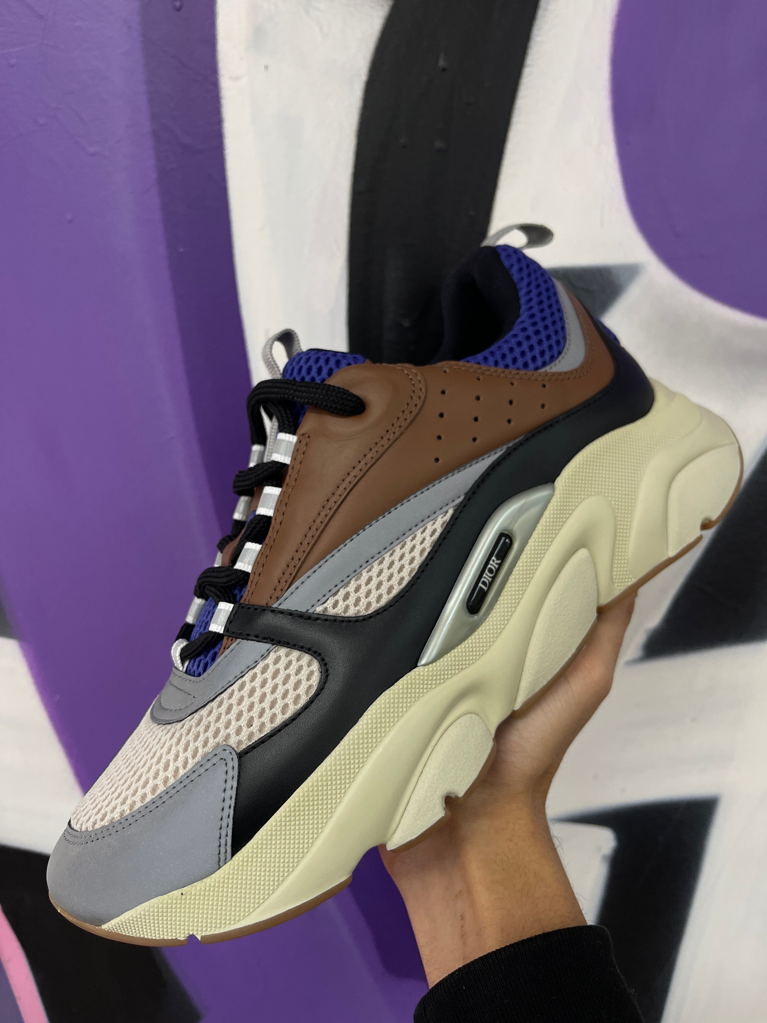 Dior B22 Brown Purple Sneakers