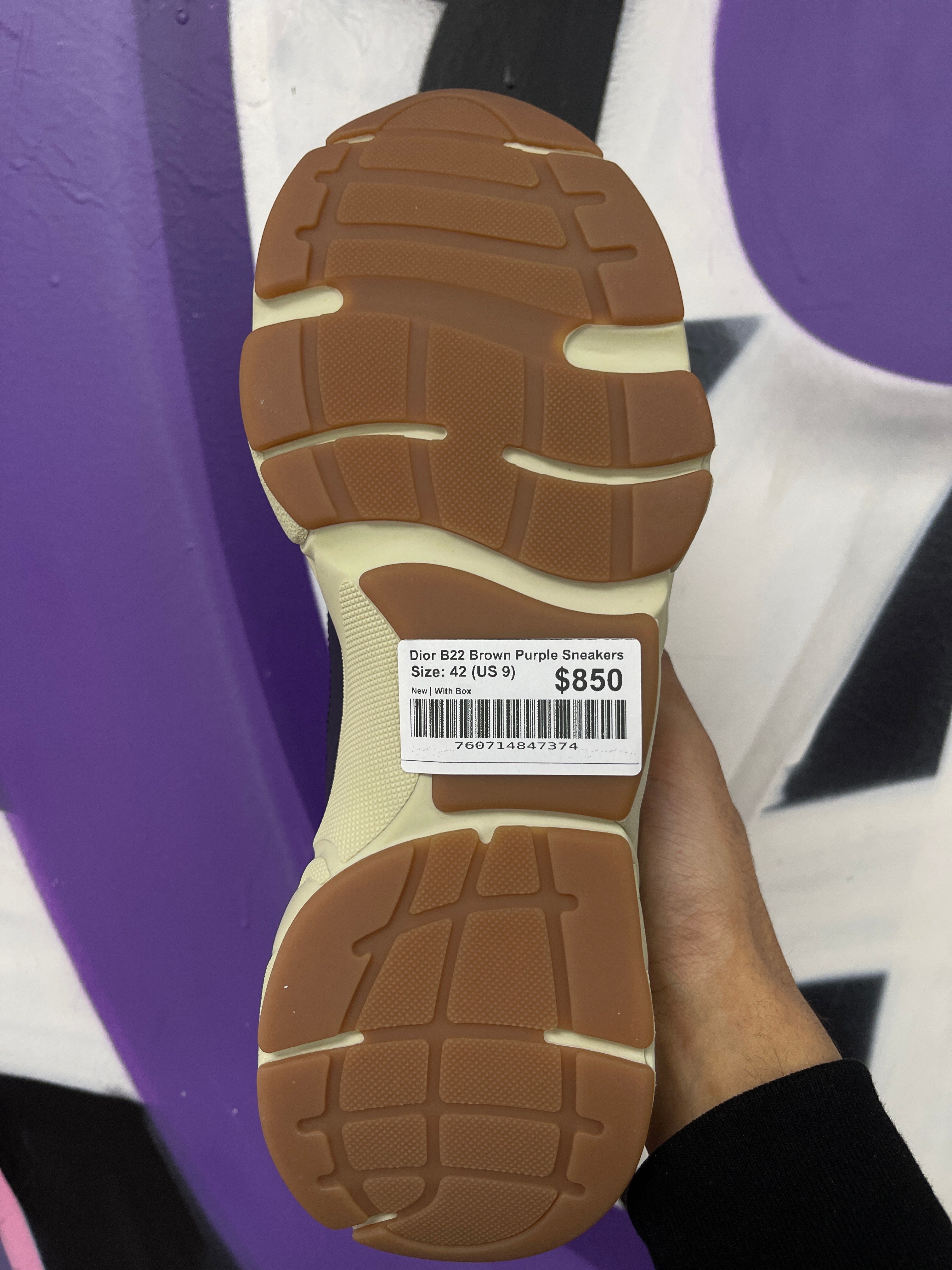 Dior B22 Brown Purple Sneakers