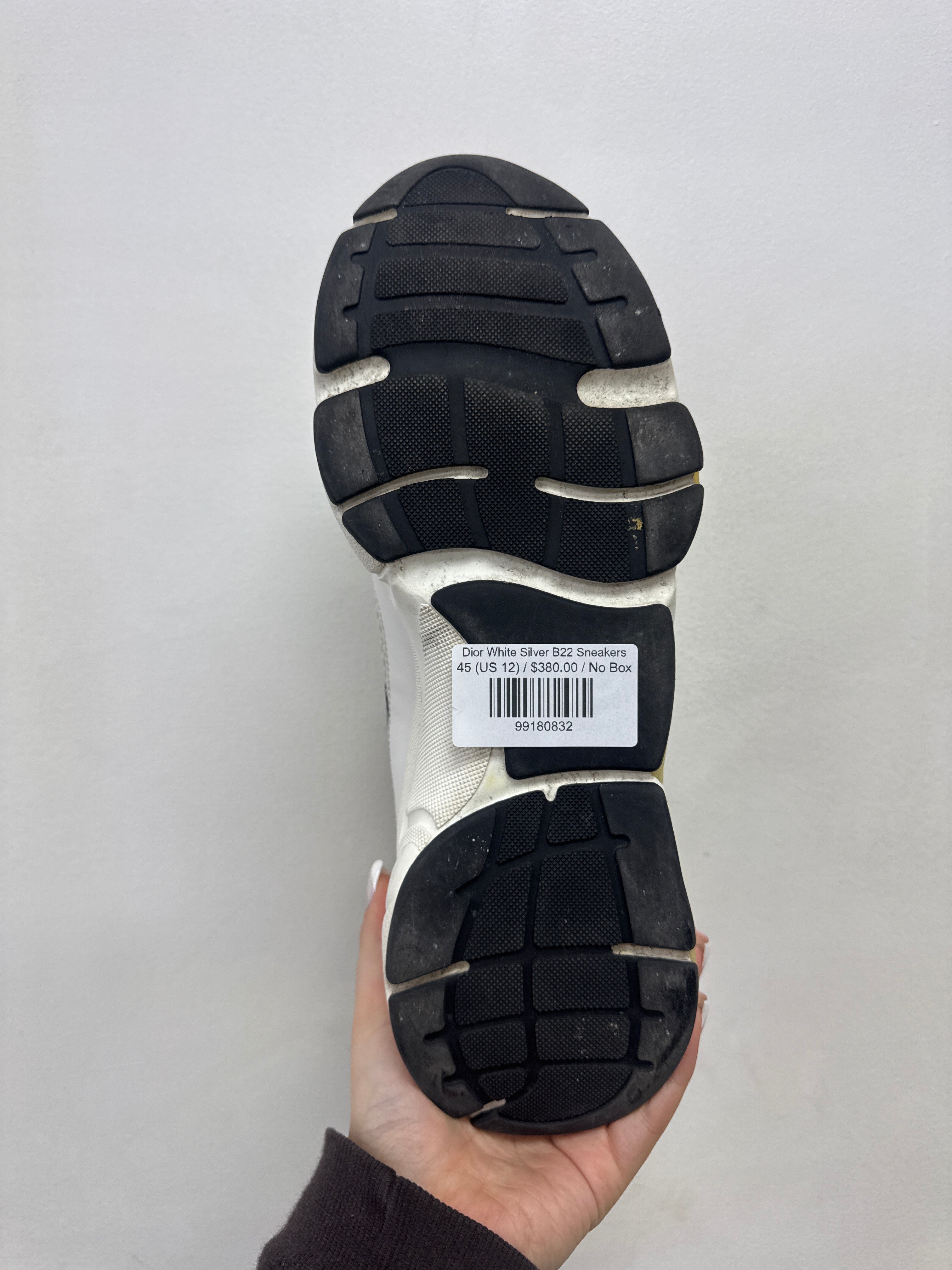 Dior White Silver B22 Sneakers