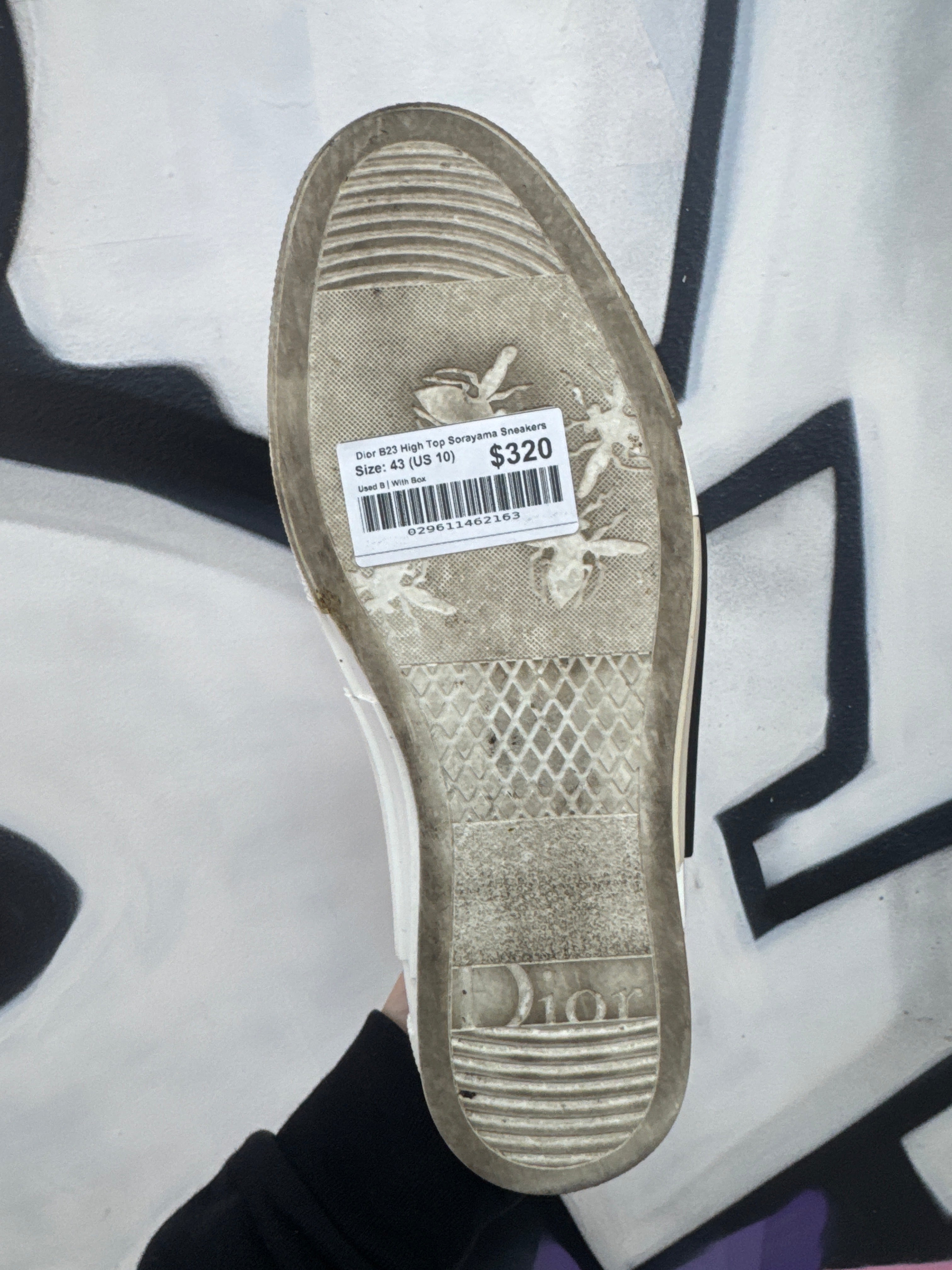 Dior B23 High Top Sorayama Sneakers