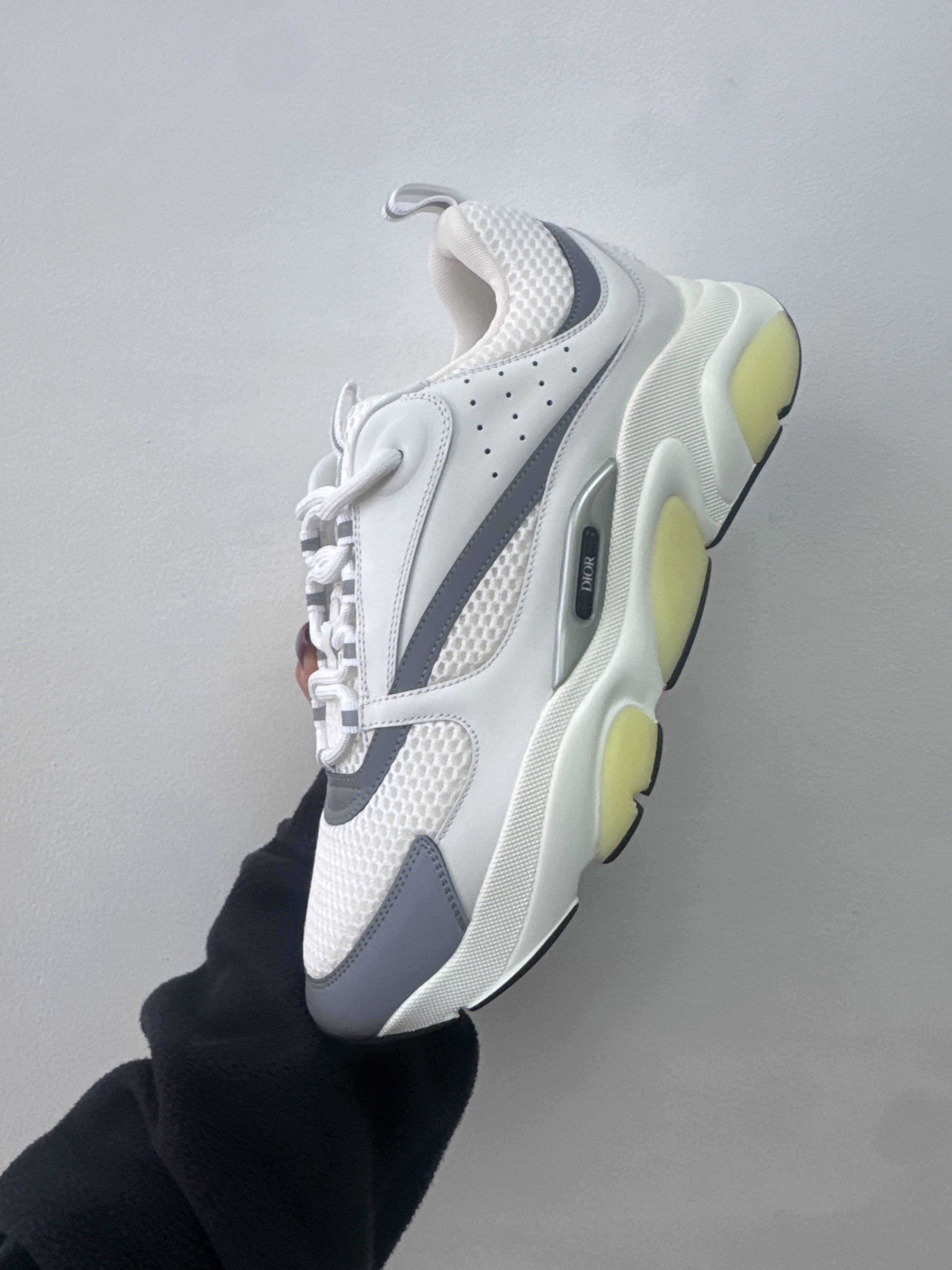 Dior 'B22' White & Silver Sneakers