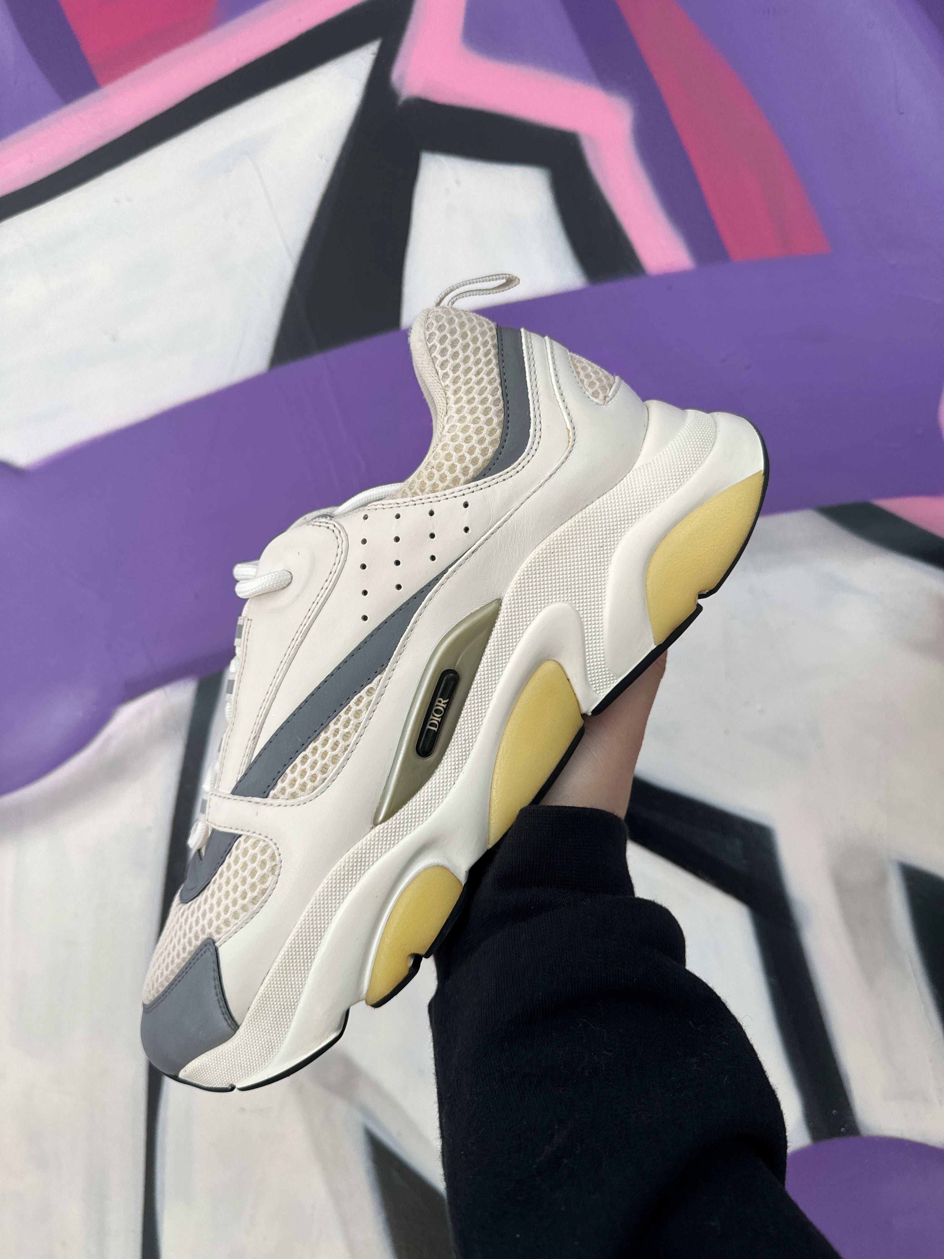 Dior White Silver B22 Sneakers