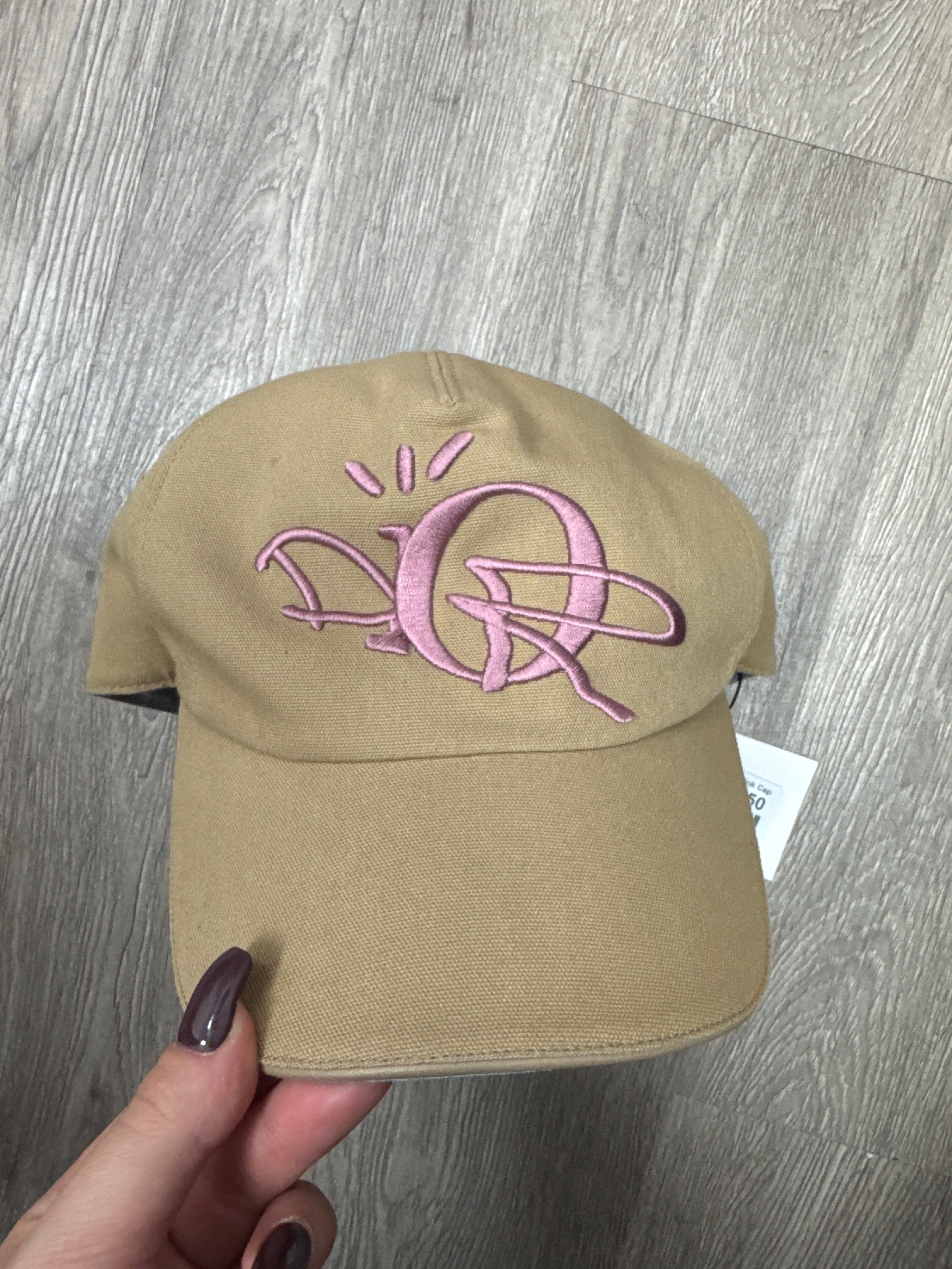 Dior Cactus Jack Beige Pink Cap