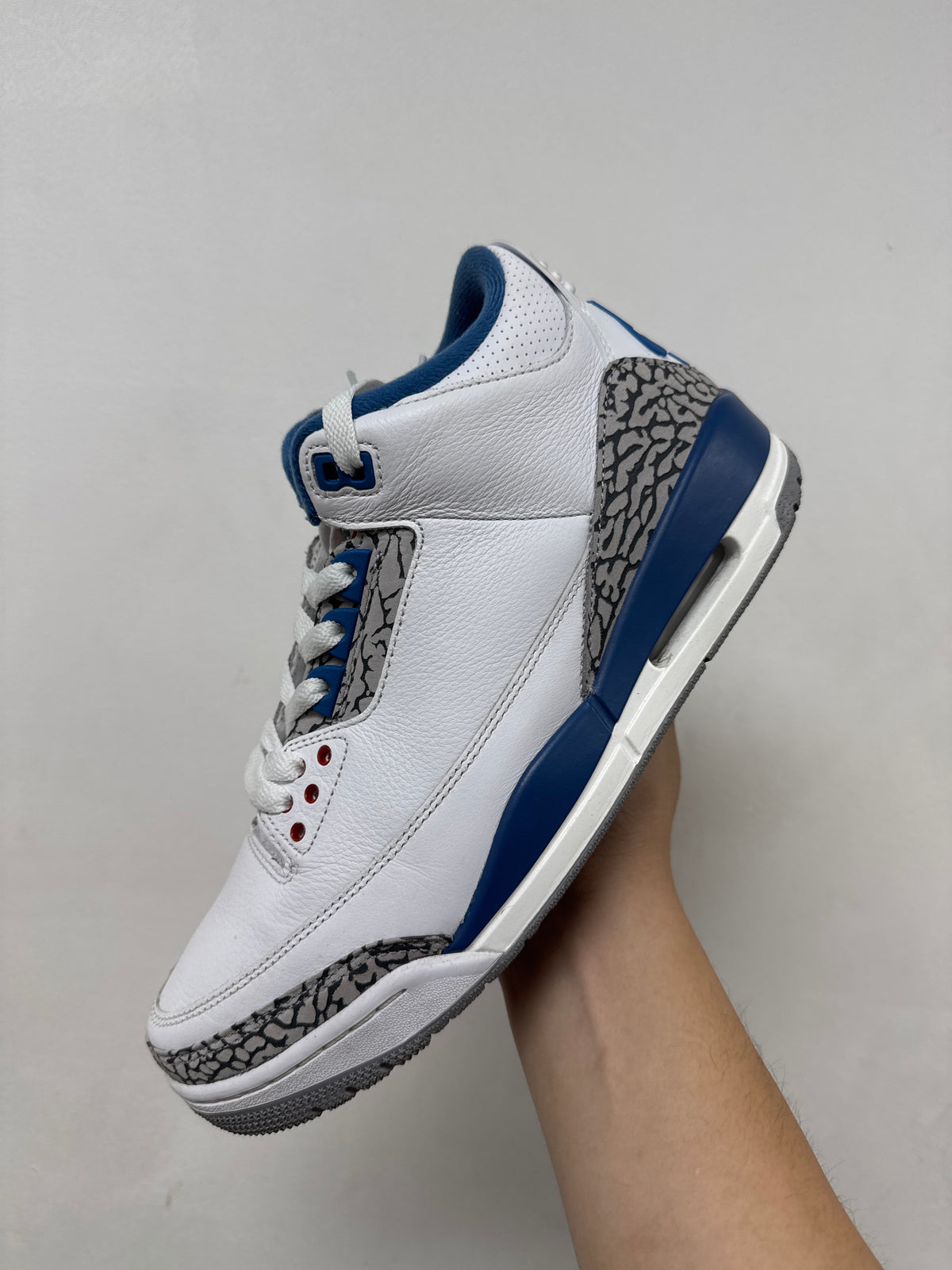 Jordan 3 True Blue Sneakers