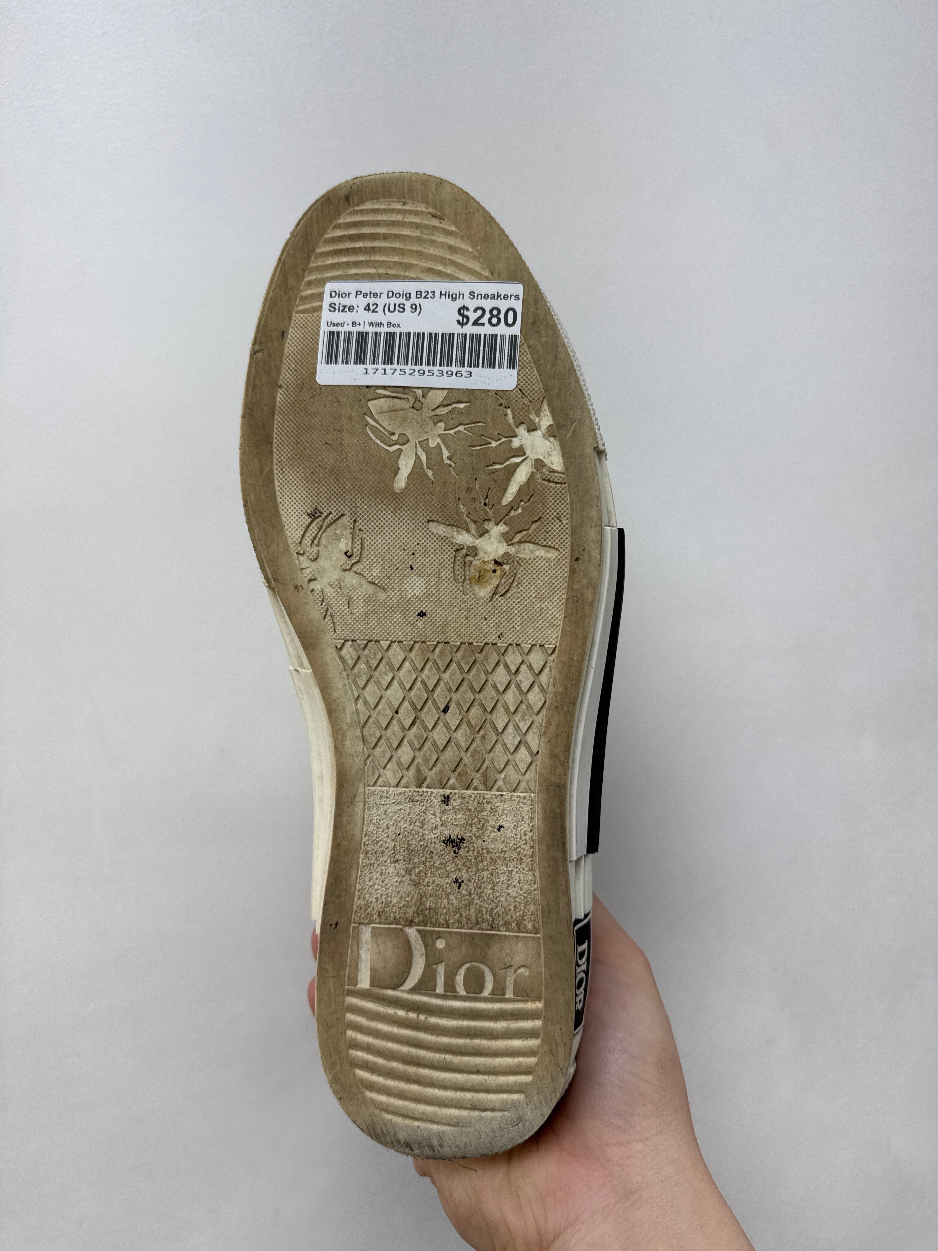 Dior Peter Doig B23 High Sneakers