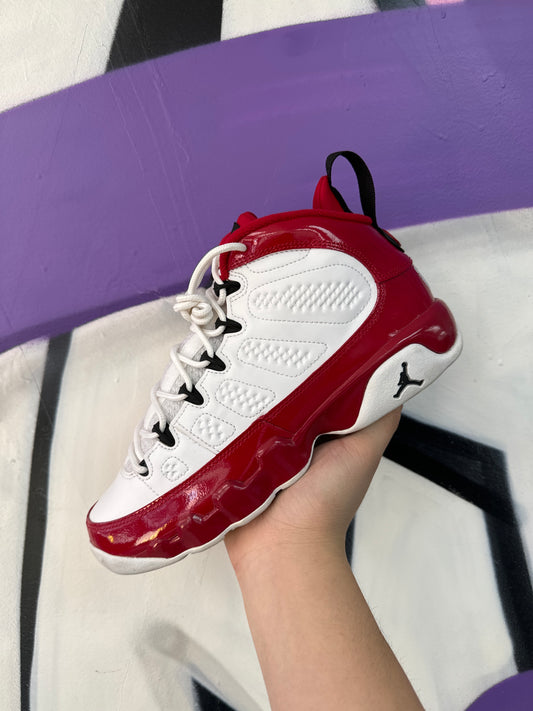 Nike Jordan 9 Gym Red Sneaker