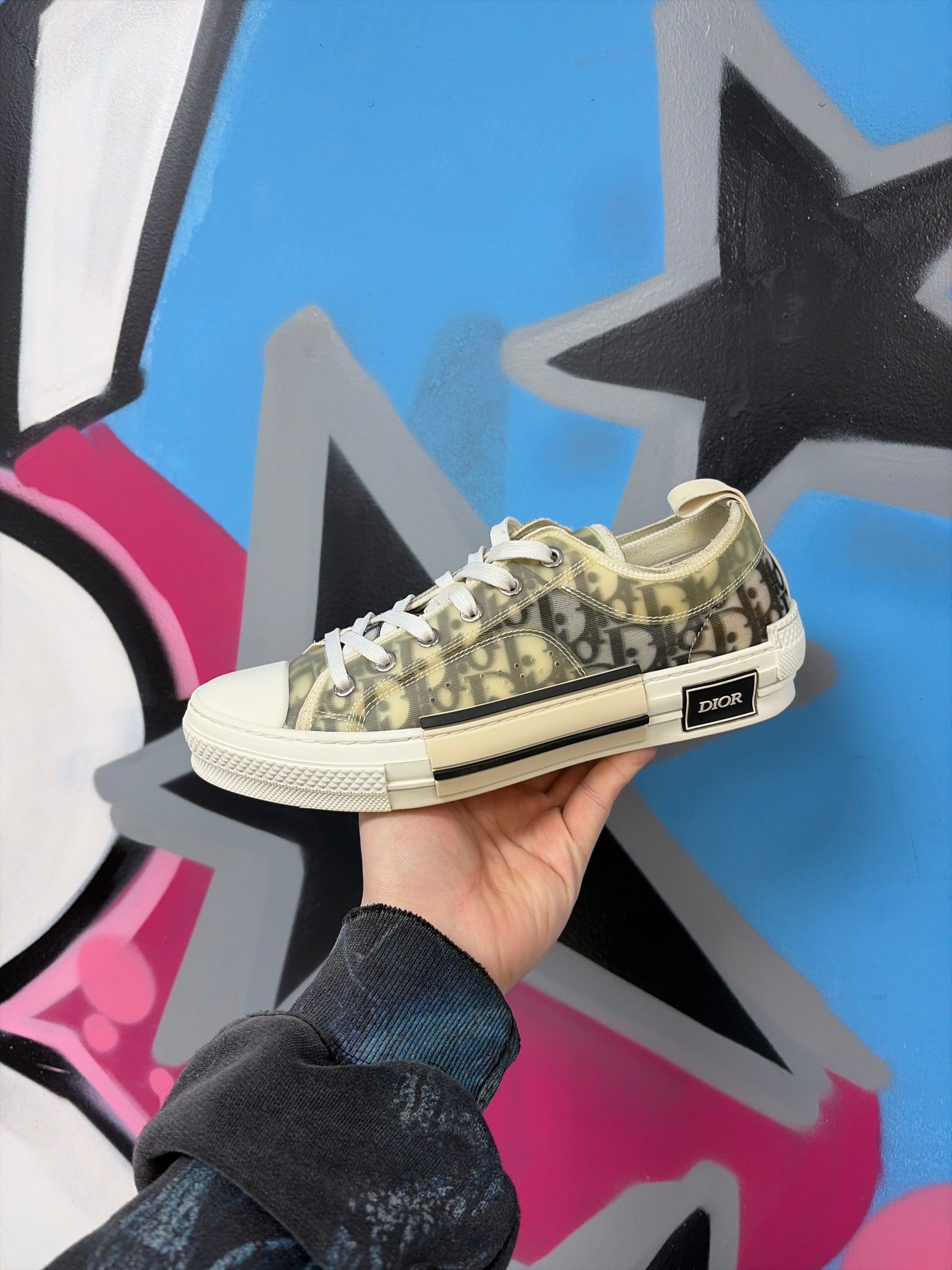 Dior B23 Low White Monogram Sneakers