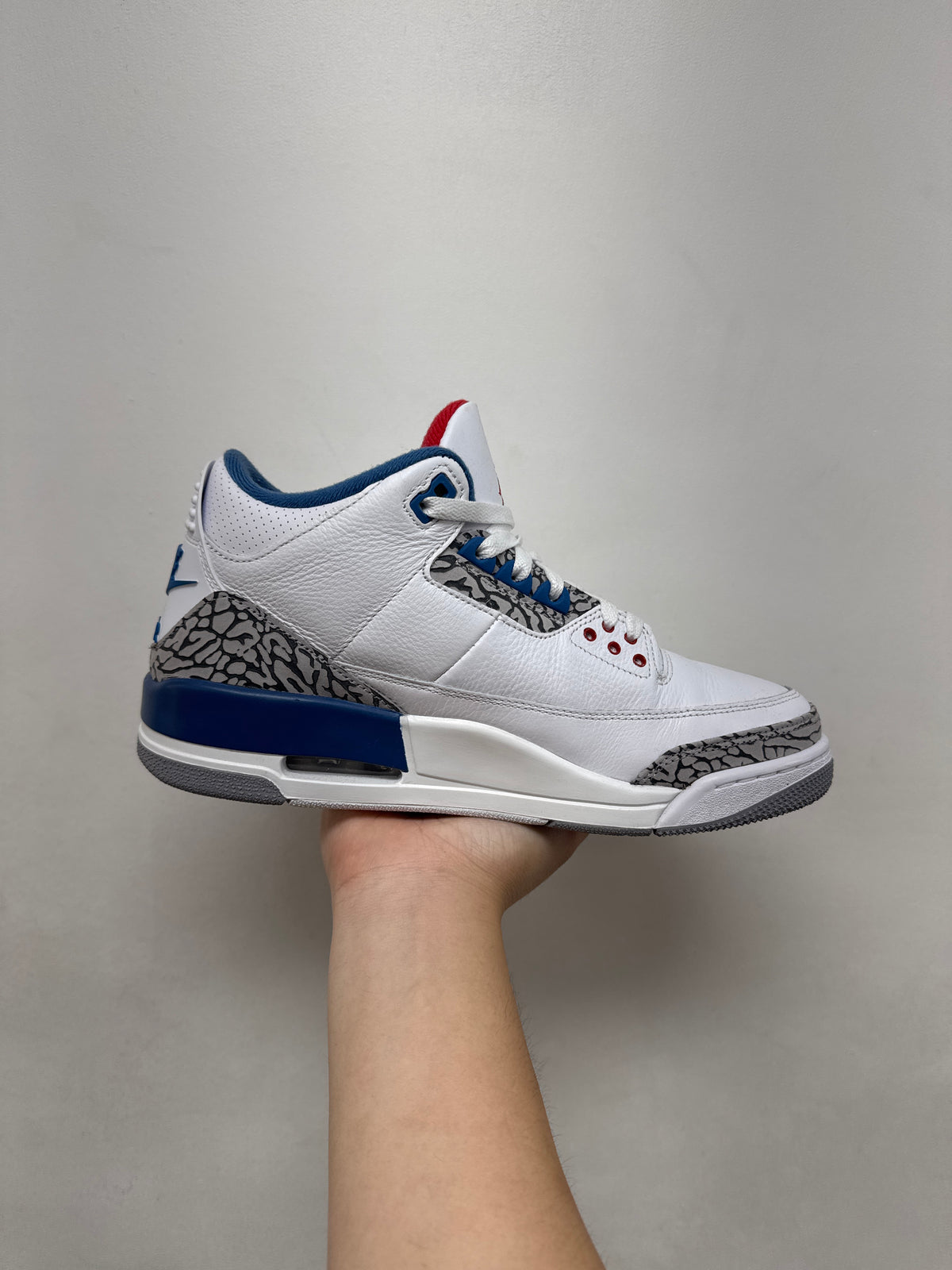 Jordan 3 True Blue Sneakers