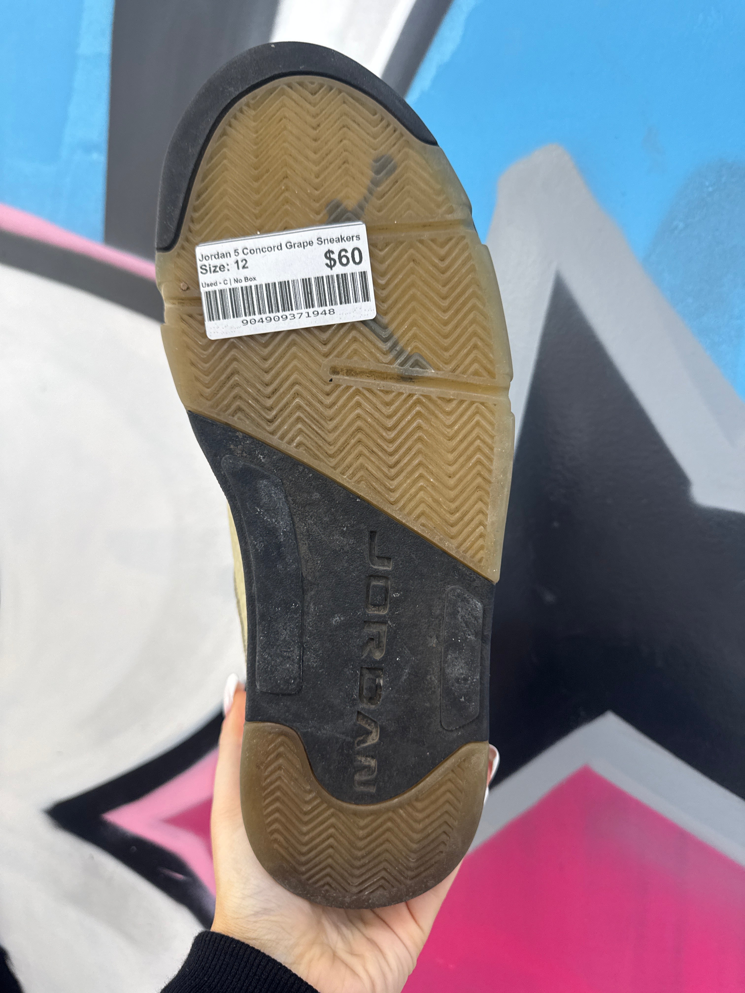 Jordan 5 Concord Grape Sneakers