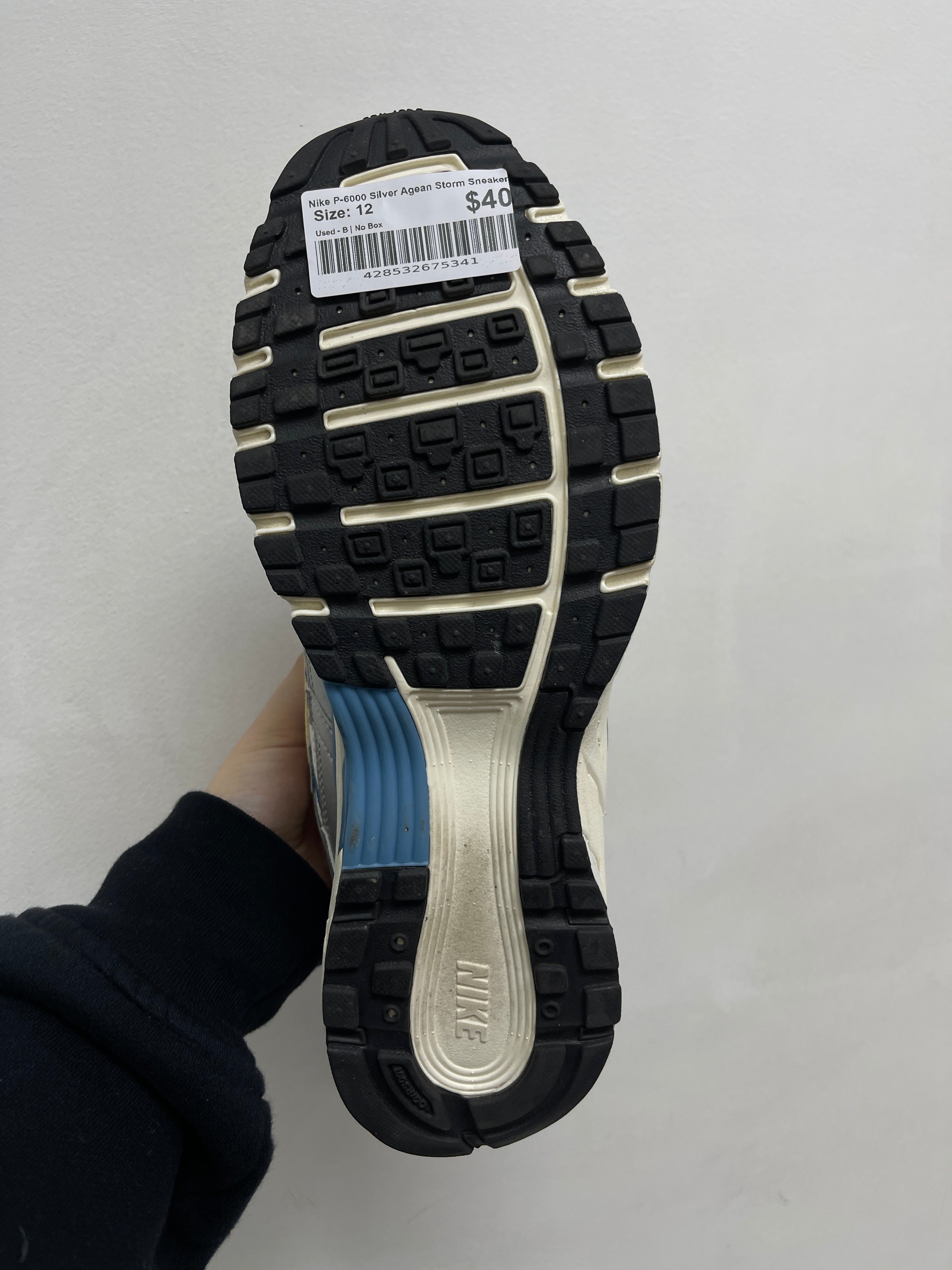Nike P-6000 Silver Agean Storm Sneakers