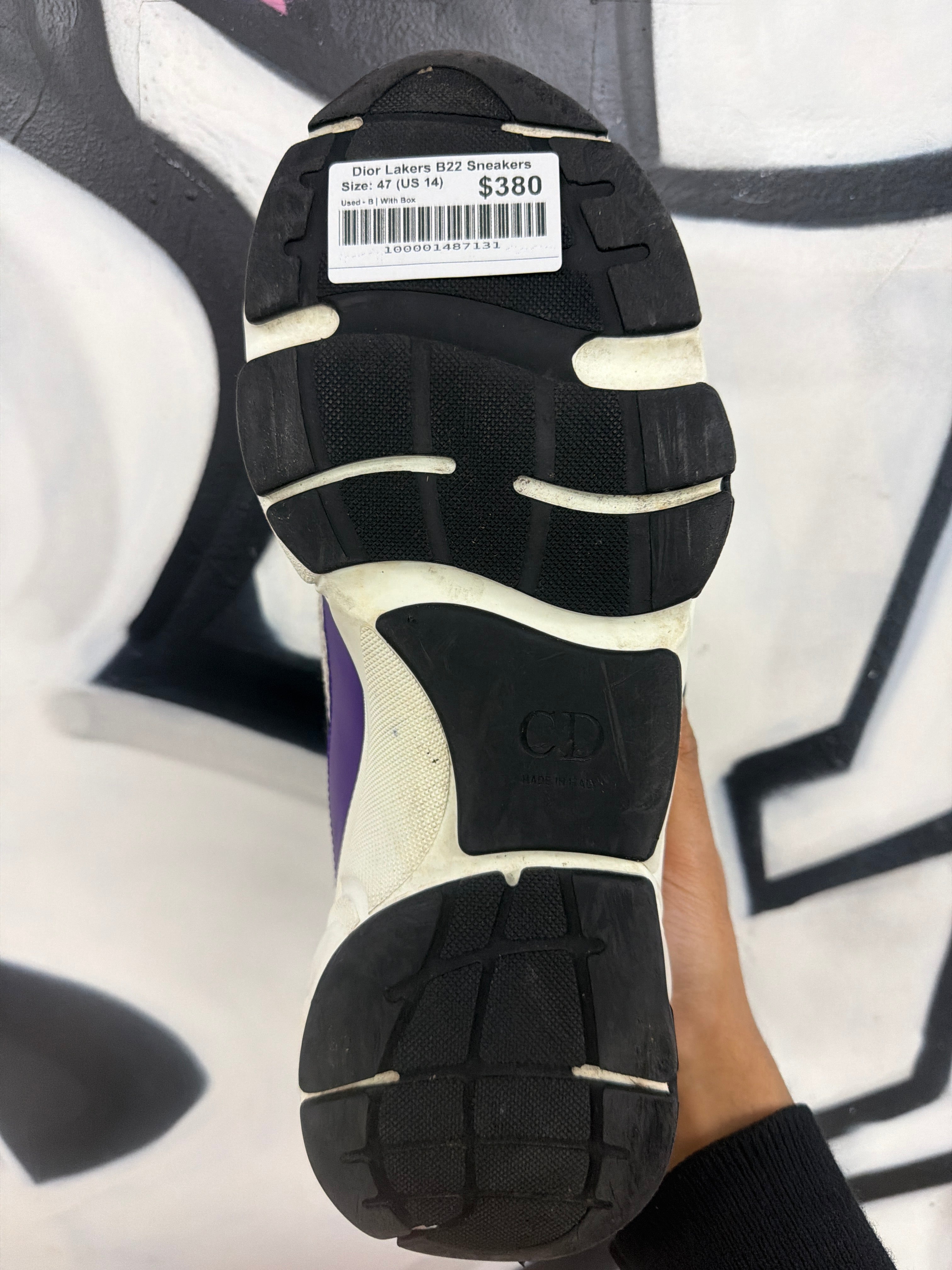 Dior Lakers B22 Sneakers