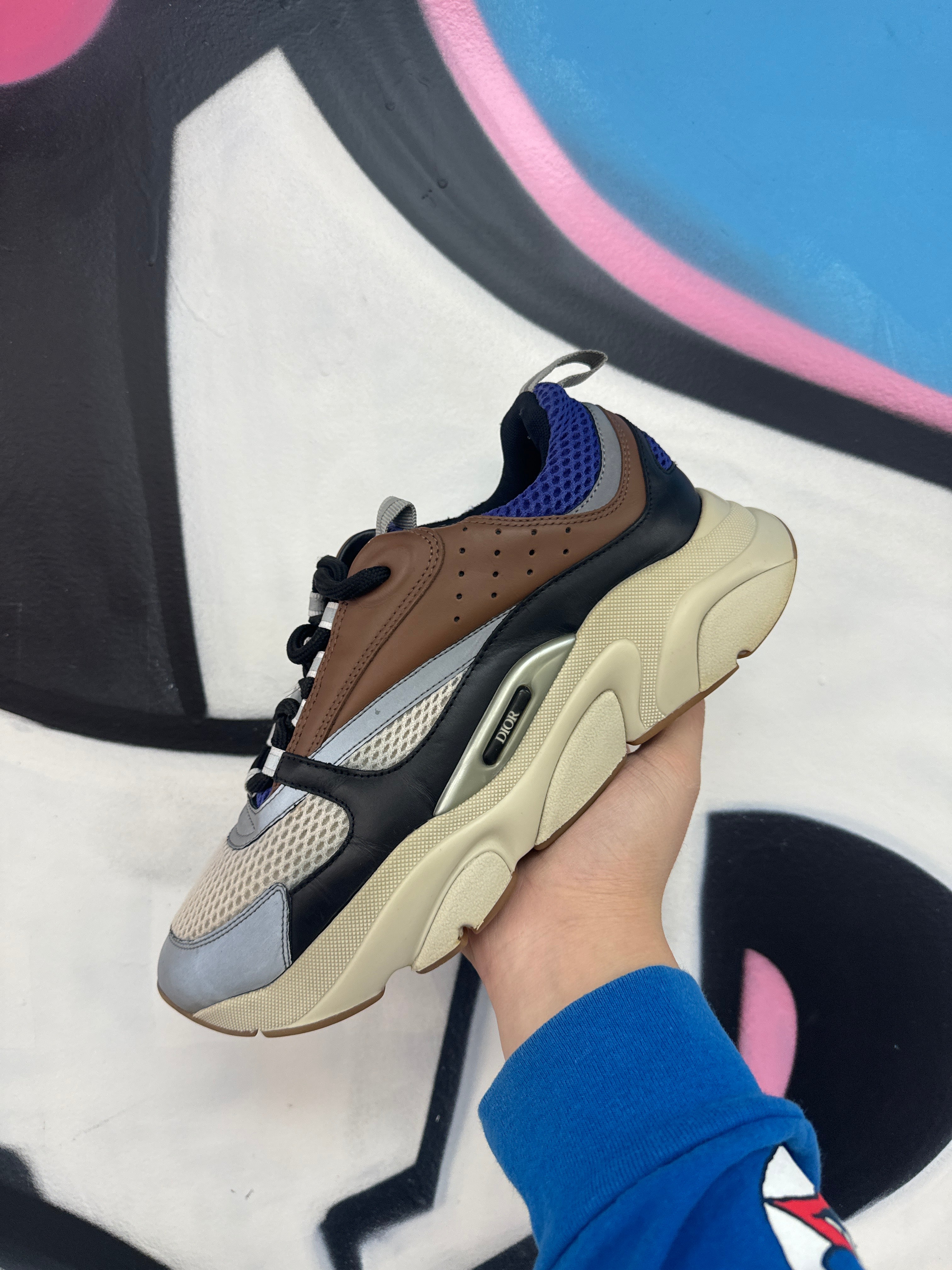 Dior B22 Brown Purple Sneakers