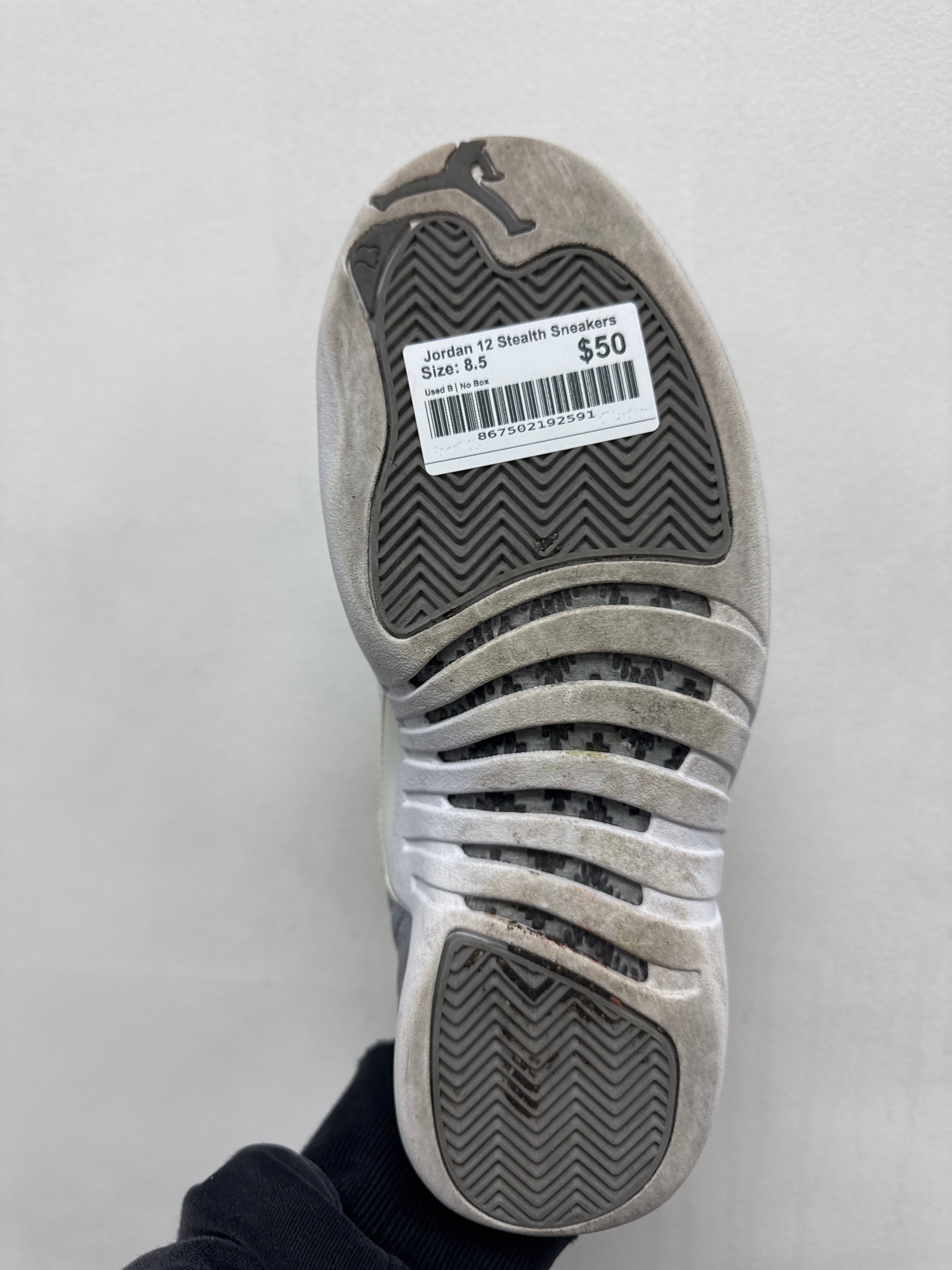 Jordan 12 Stealth Sneakers