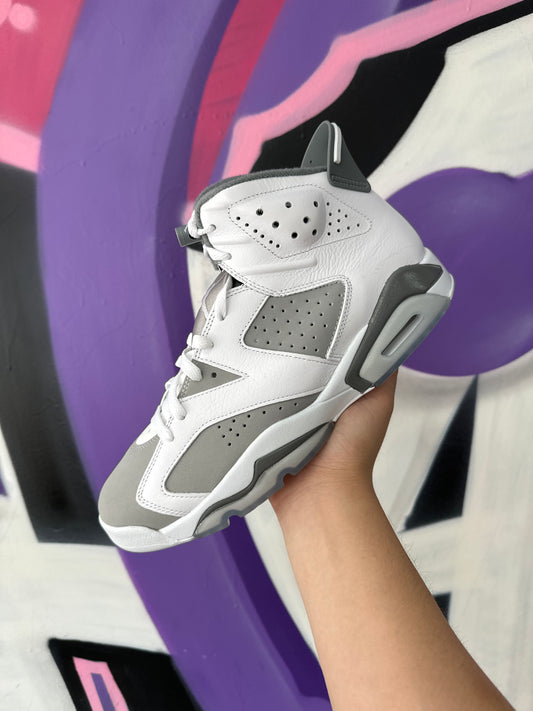 Jordan 6 Cool Grey  New With Box