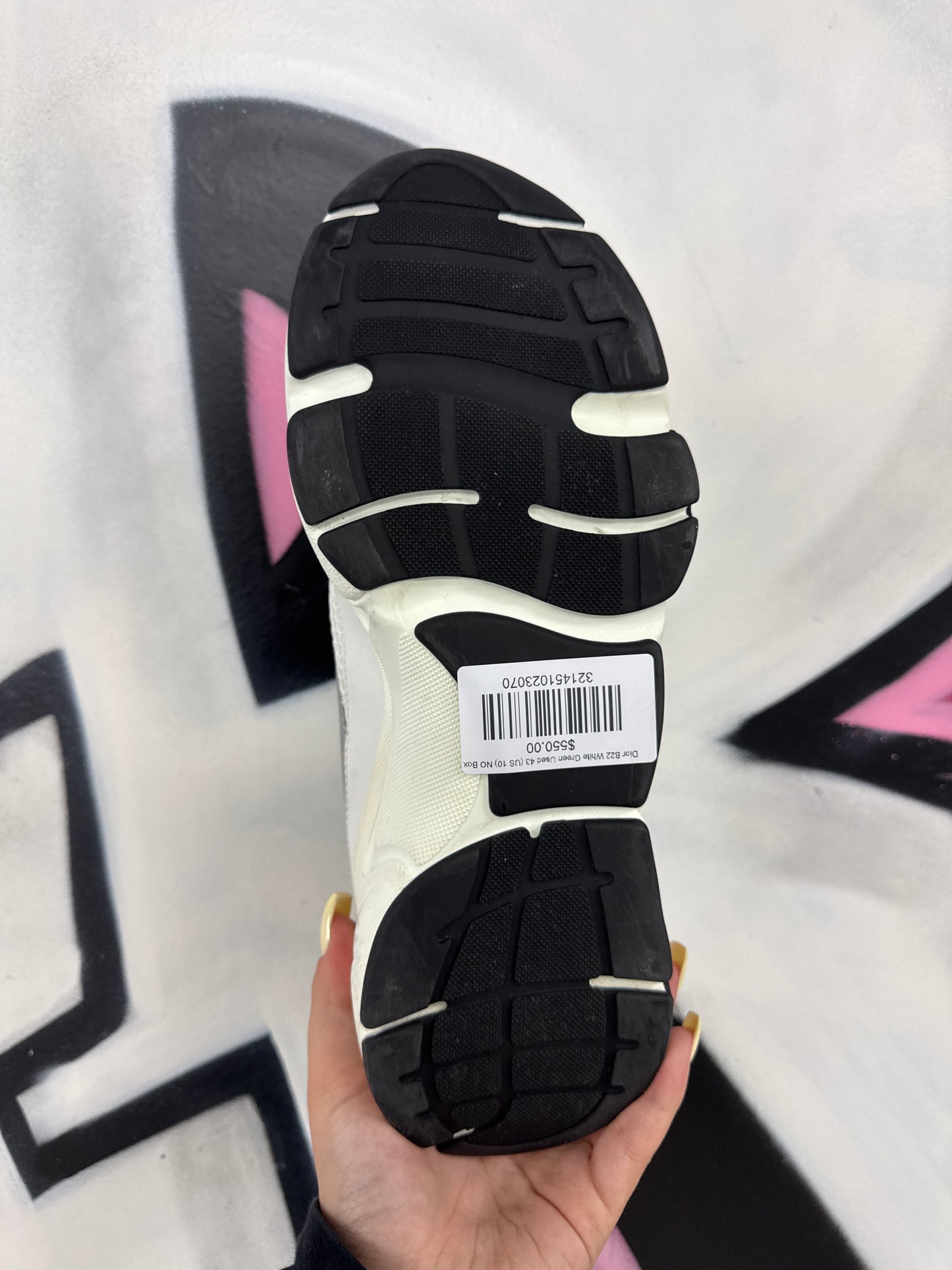 Dior B22 White Green Used 43 (US 10) NO Box