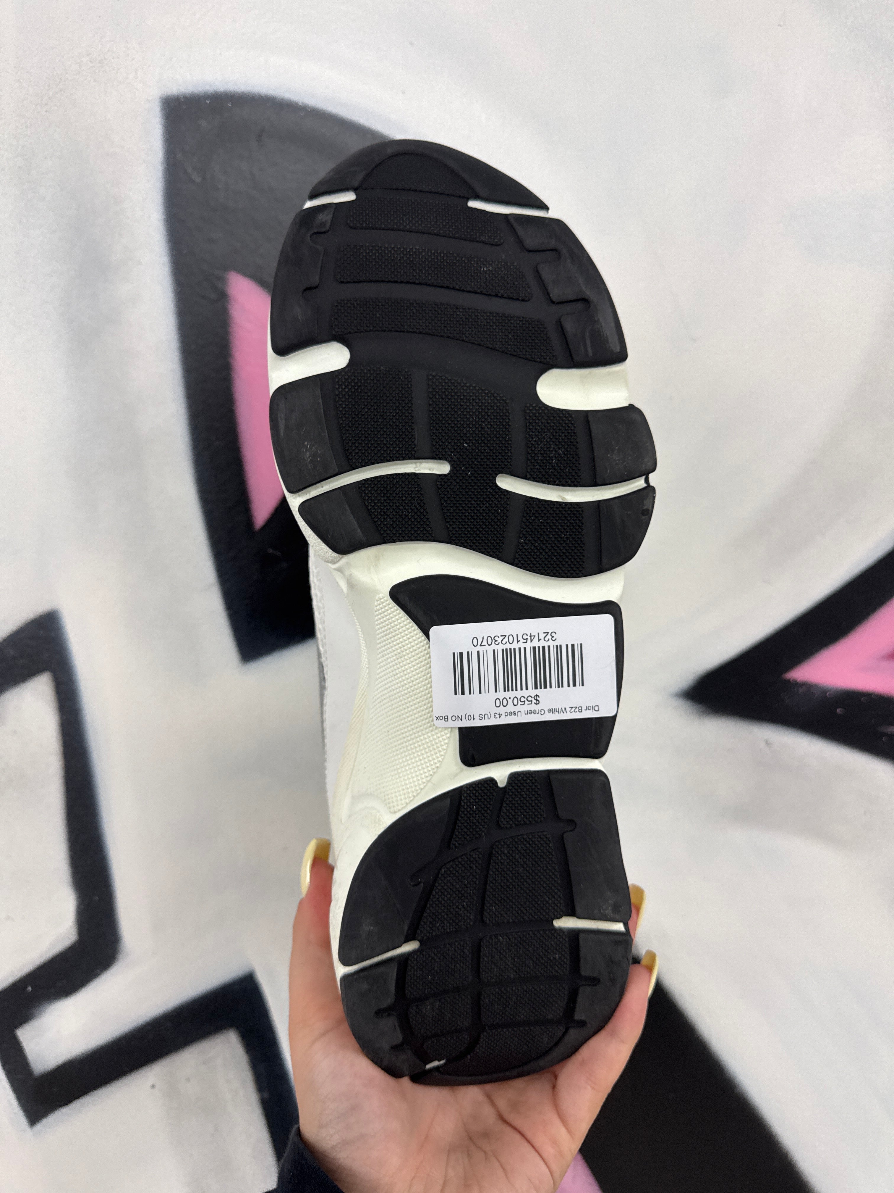 Dior B22 White Green Used 43 (US 10) NO Box