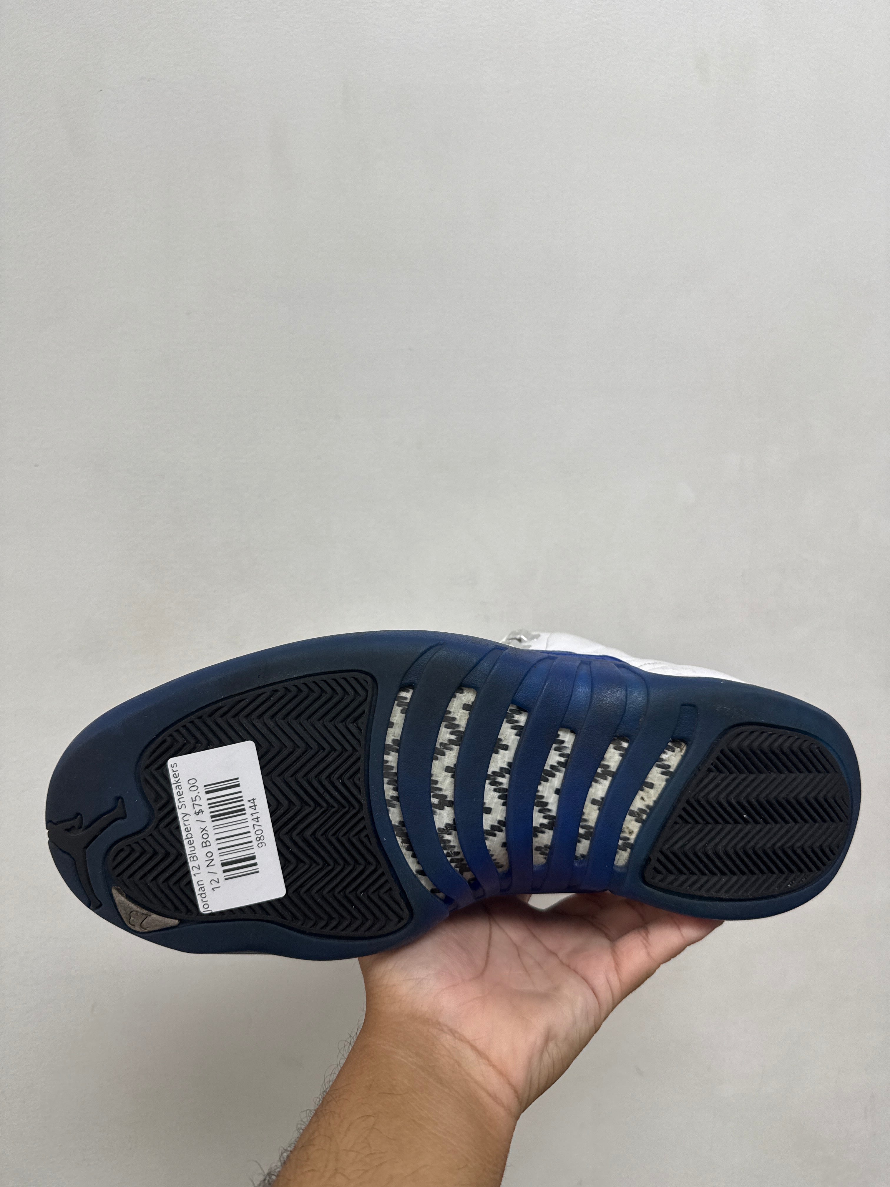 Jordan 12 Blueberry Sneakers