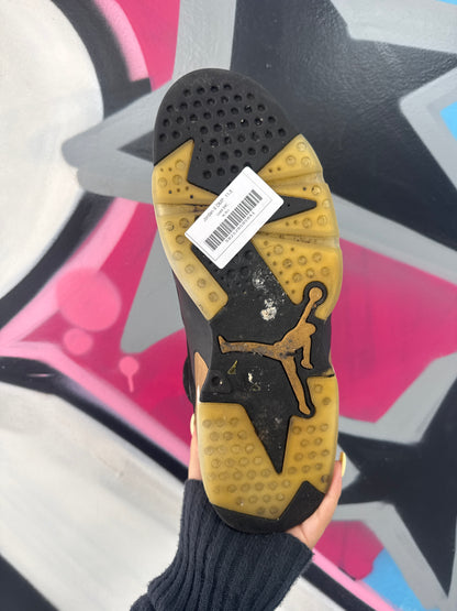 Jordan 6 DMP  Used No Box
