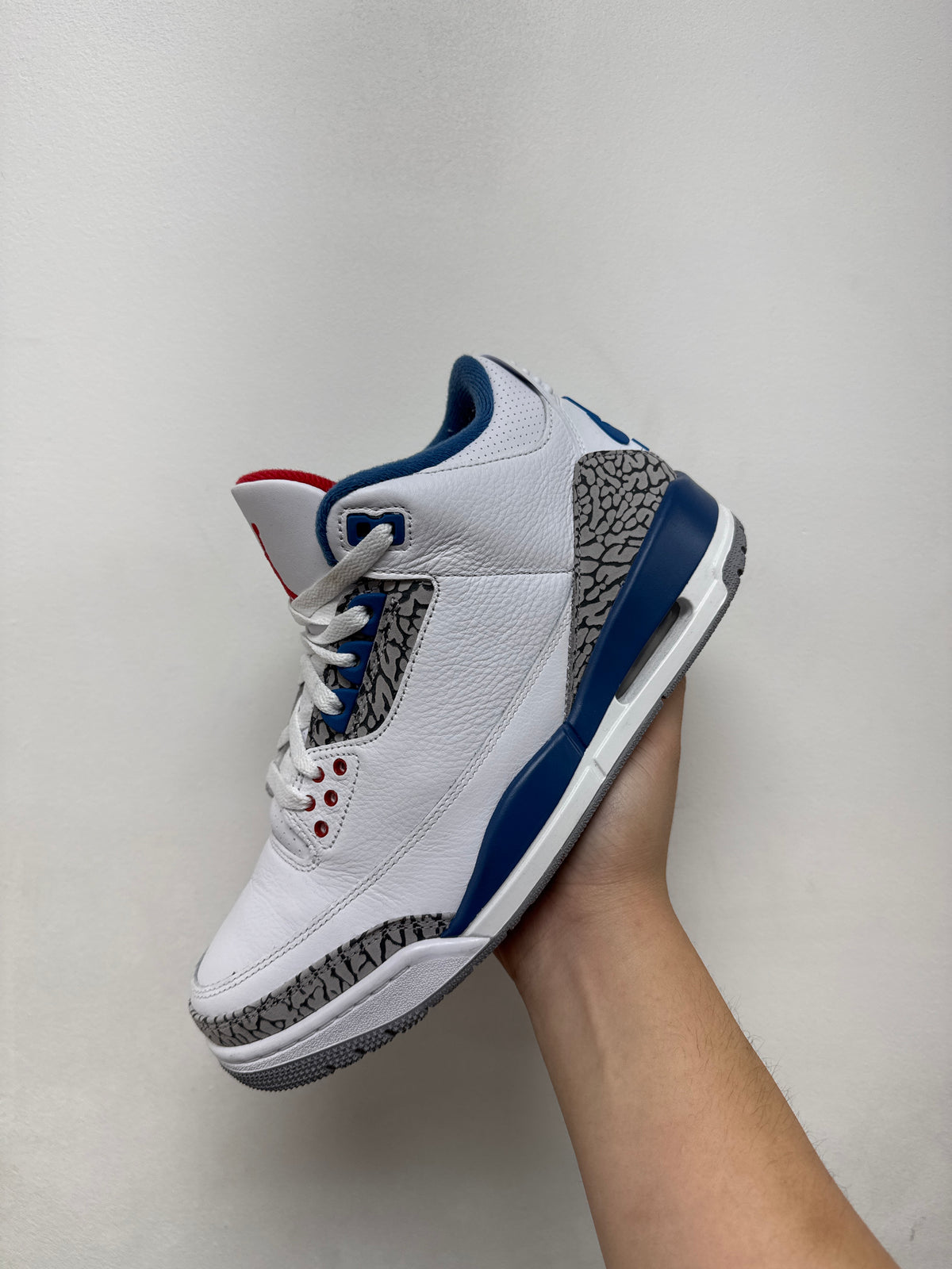 Jordan 3 True Blue Sneakers